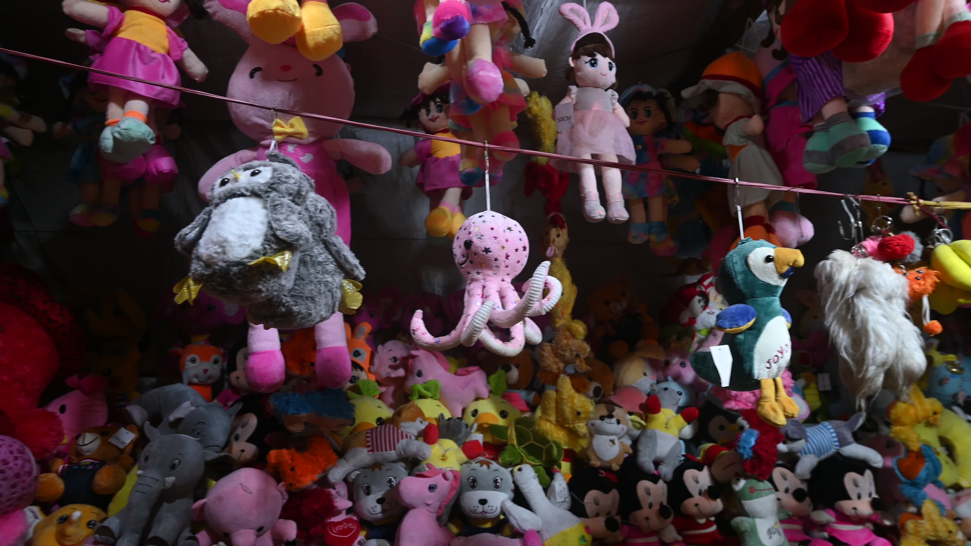Doll shop - India
