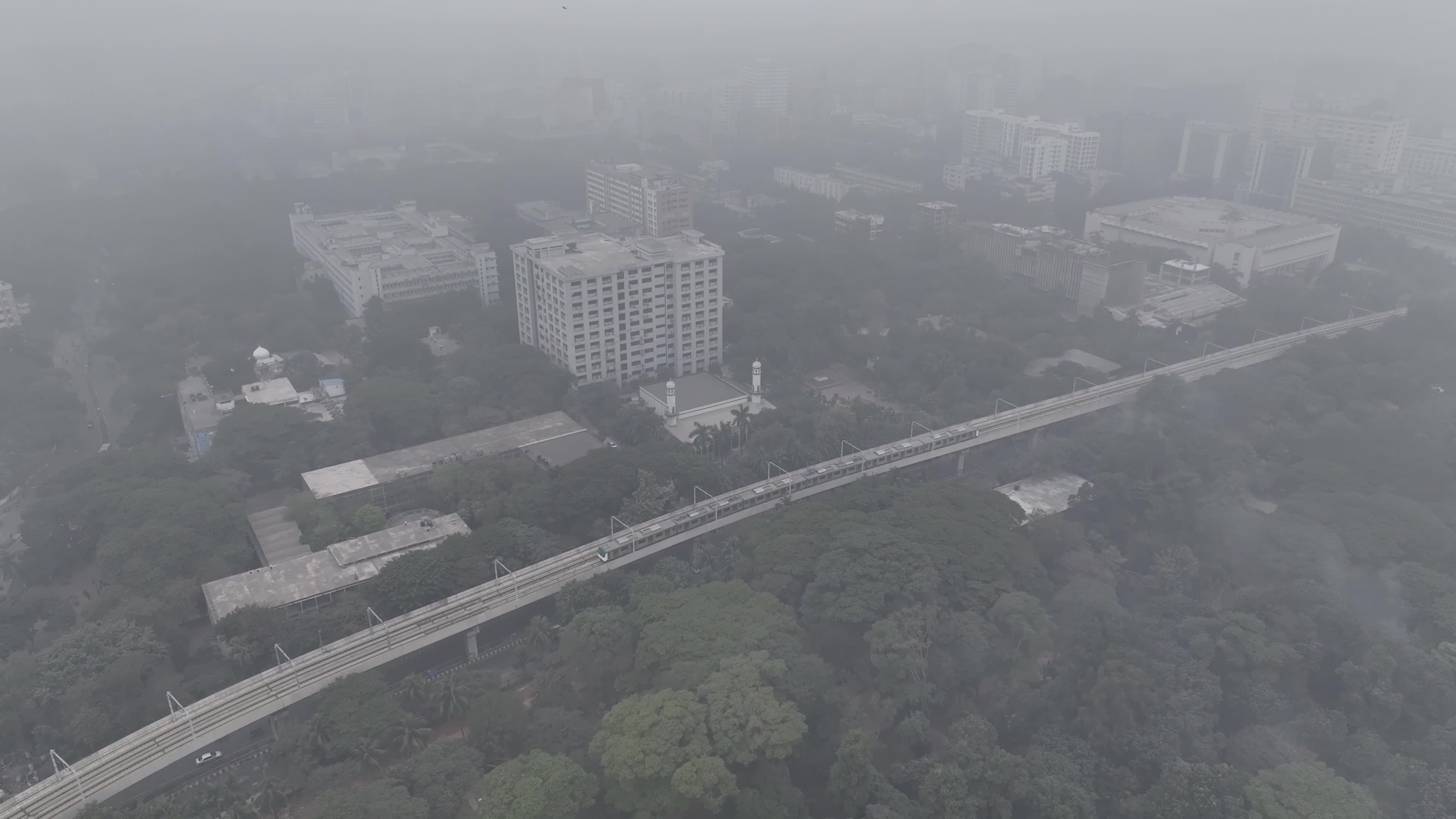 Cold Wave and Foggy Weather