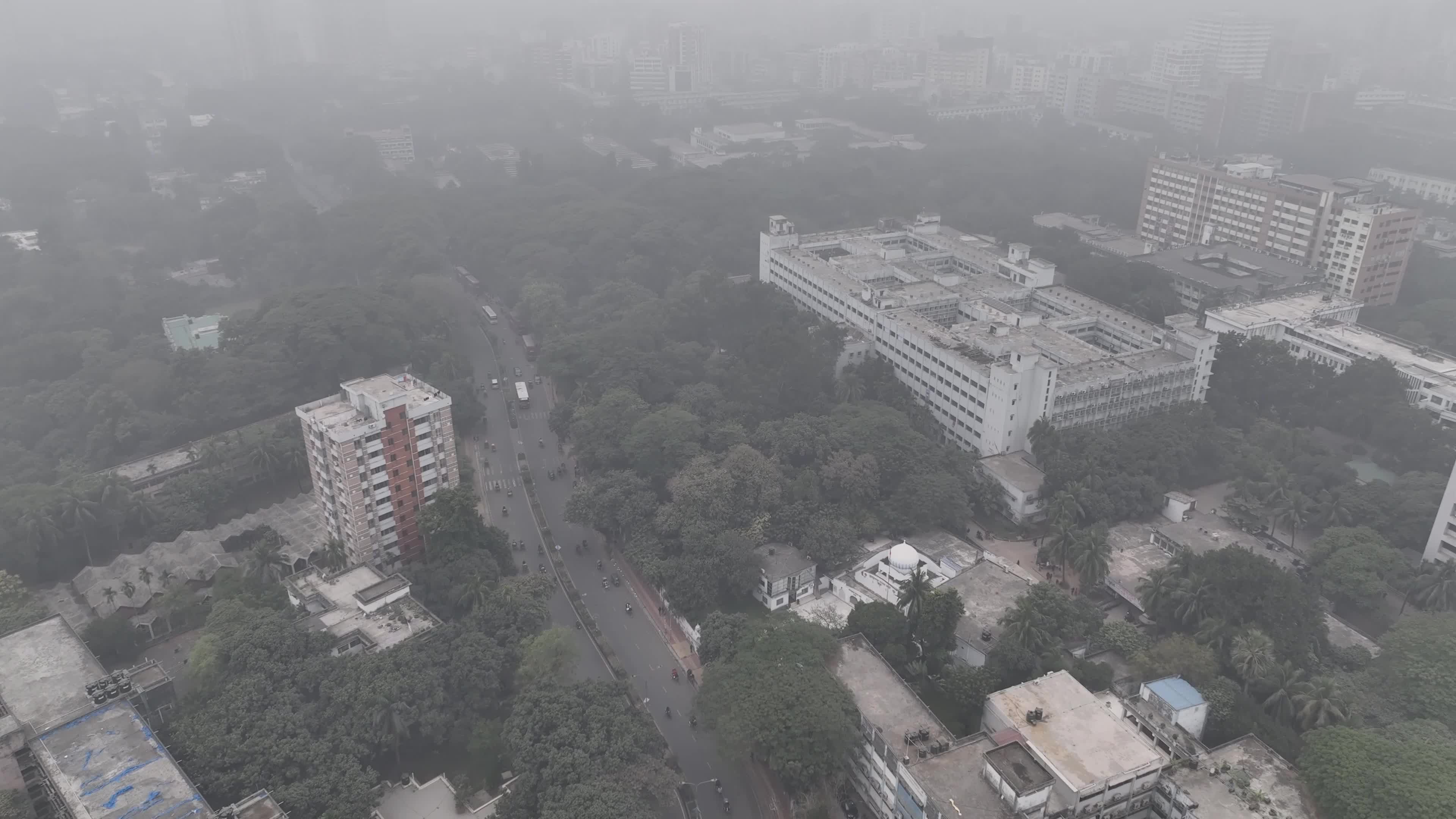 Cold Wave and Foggy Weather