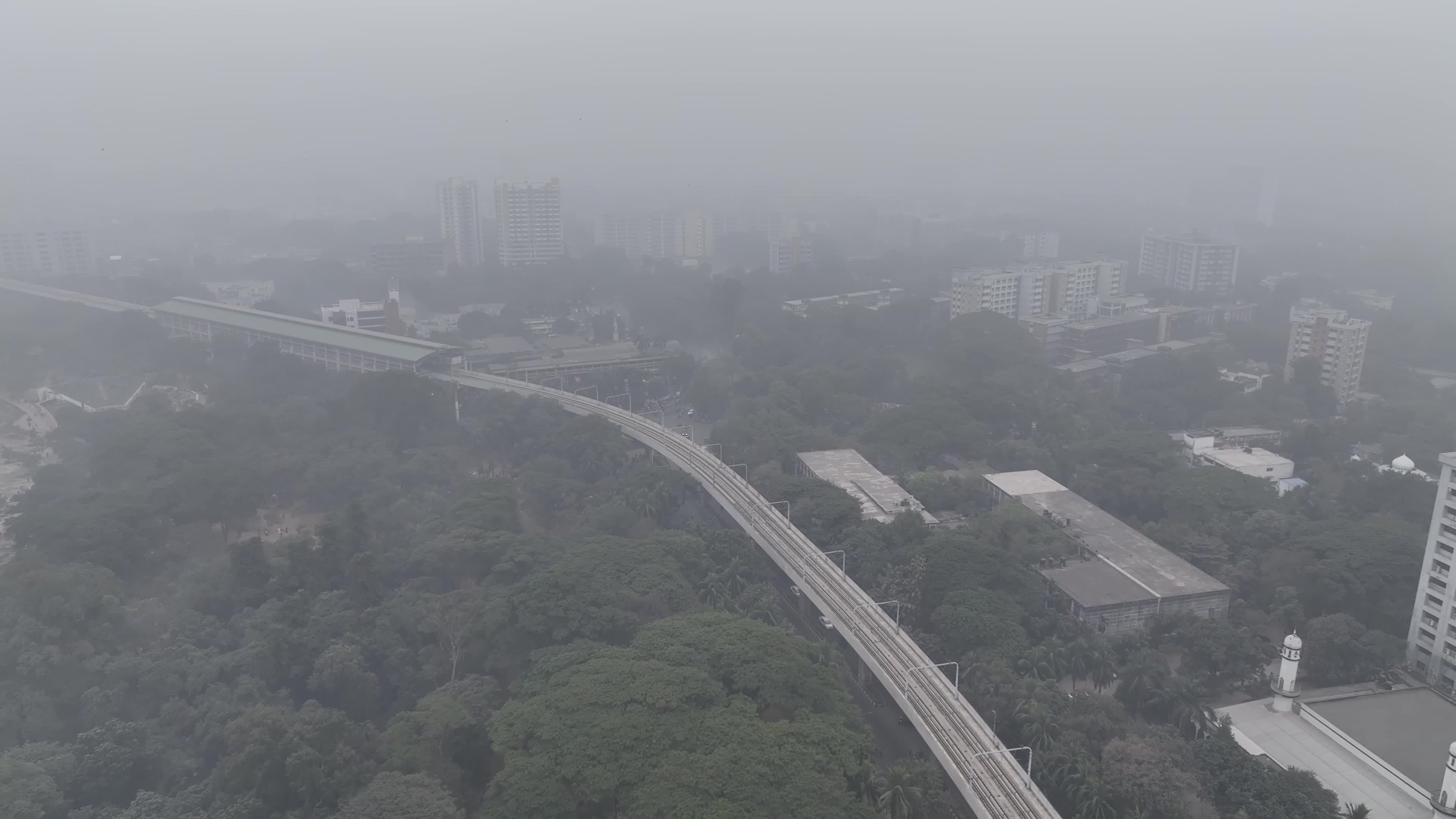 Cold Wave and Foggy Weather