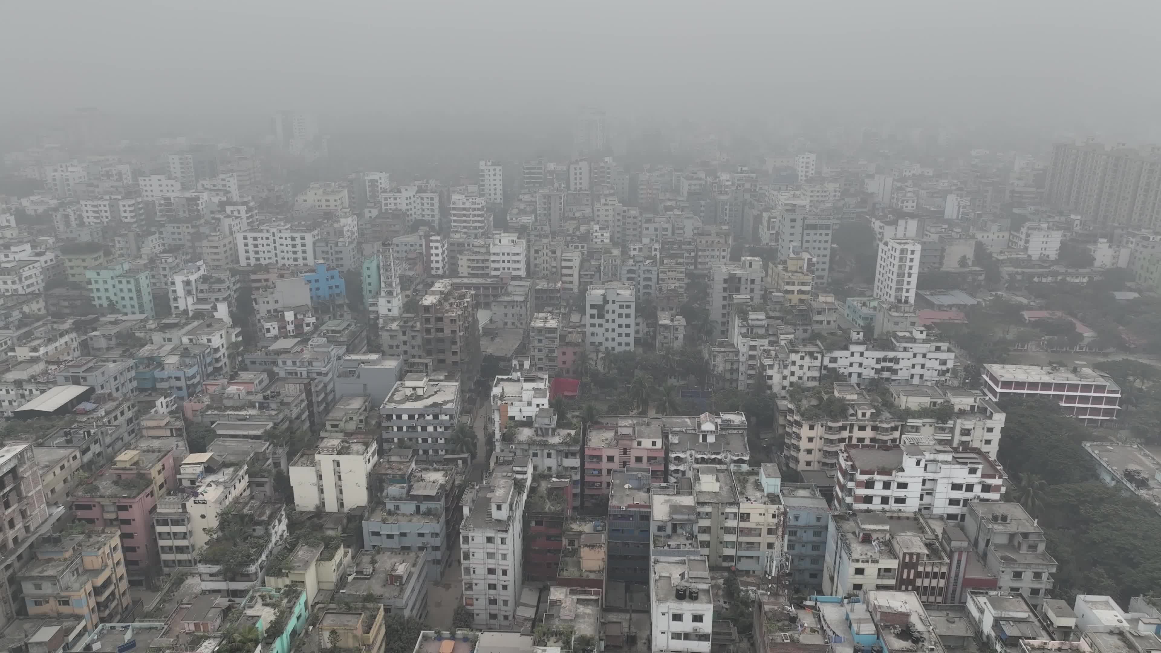 Cold Wave and Foggy Weather