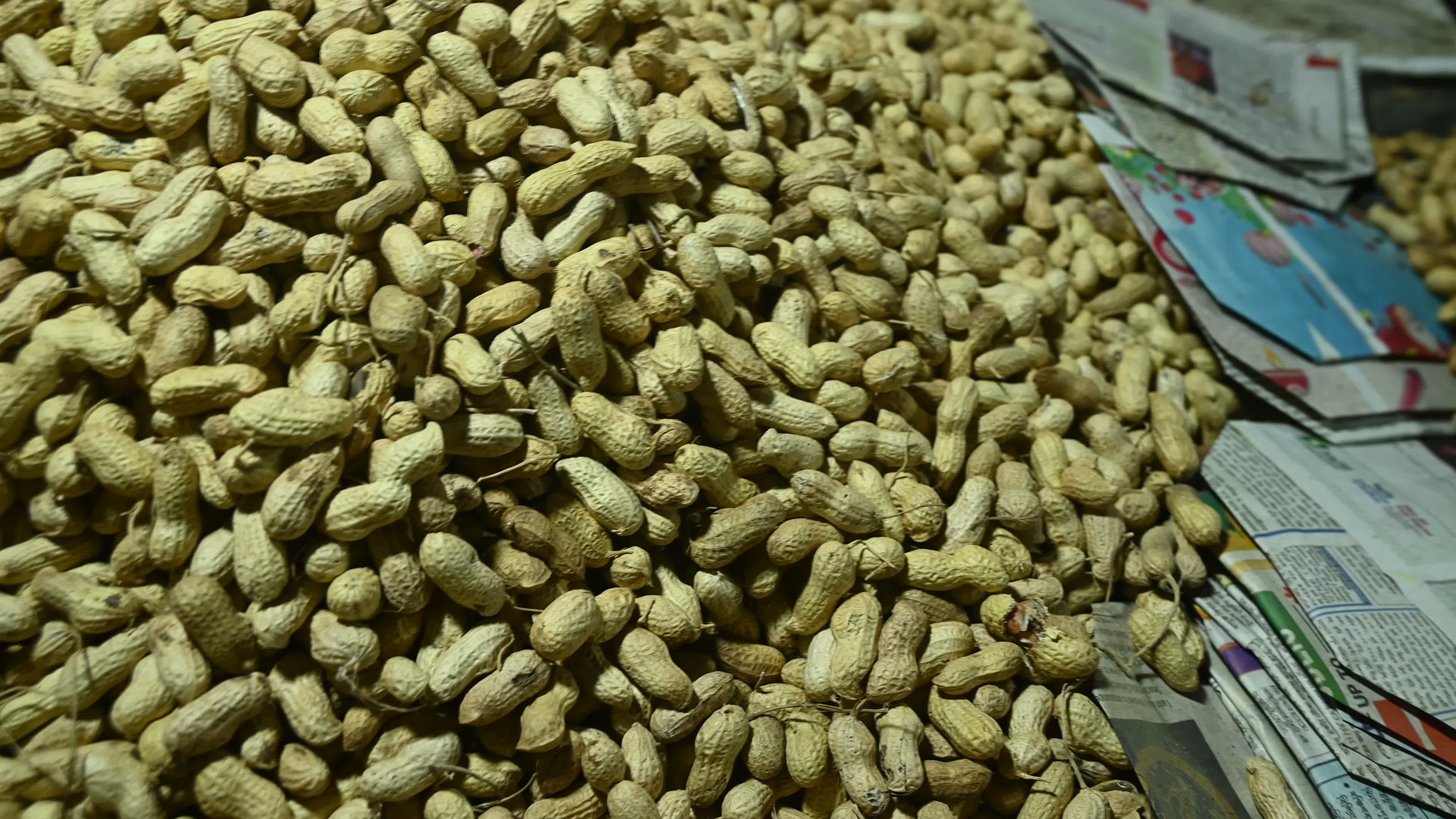 Hot Roasted Peanuts For Sale
