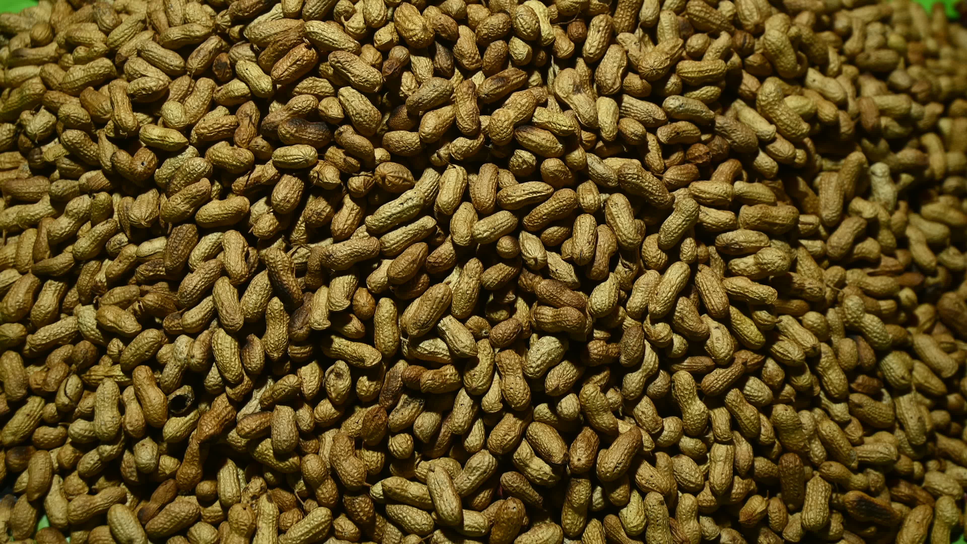 Hot Roasted Peanuts For Sale
