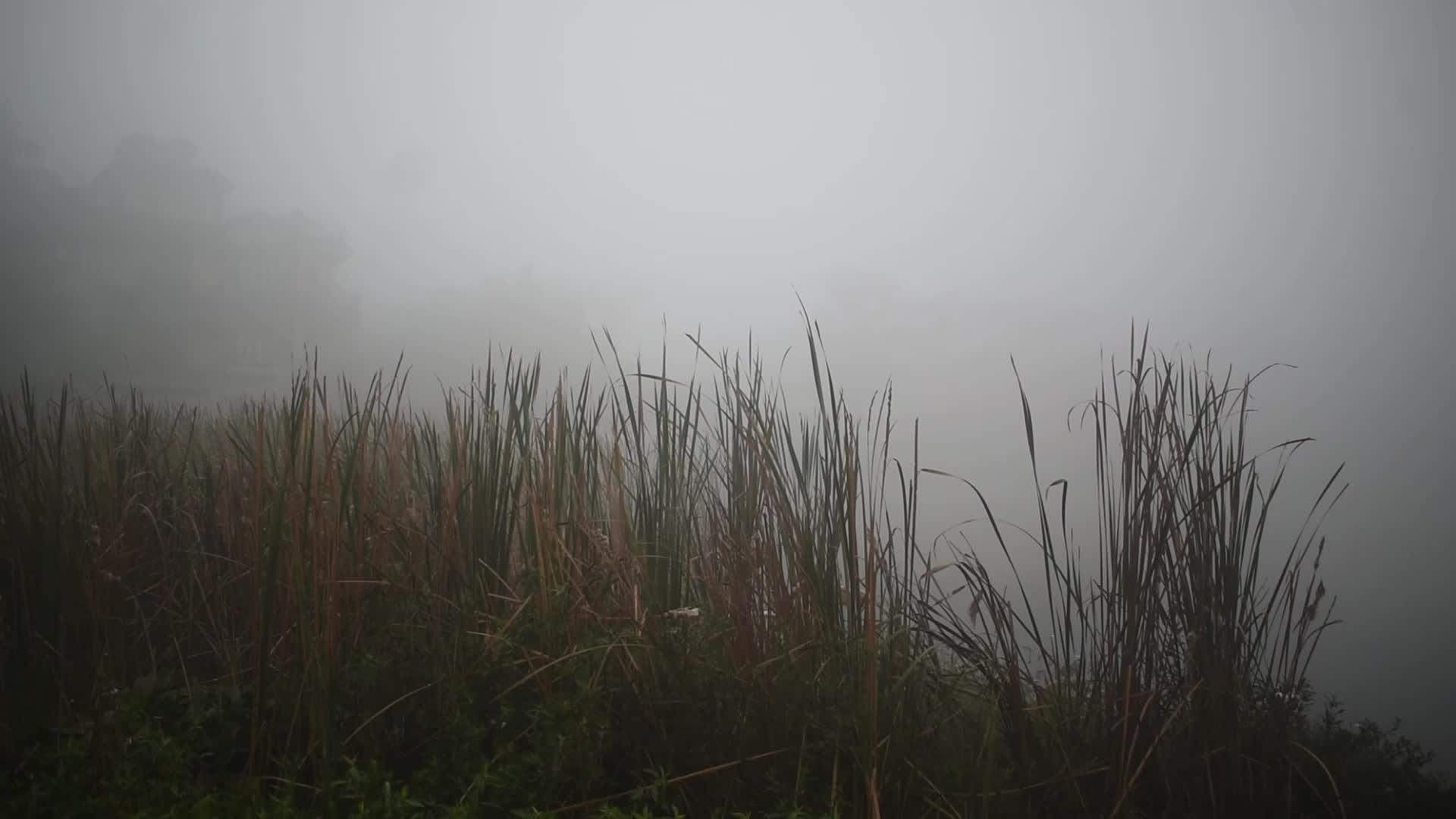 Heavy Fog In Kolkata, India