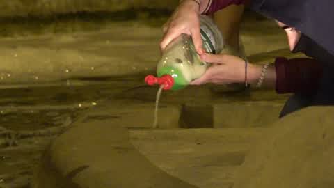 About two thousand people spill soap in the Plaza España in Barcelona