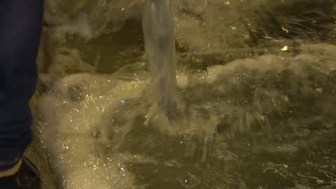 About two thousand people spill soap in the Plaza España in Barcelona