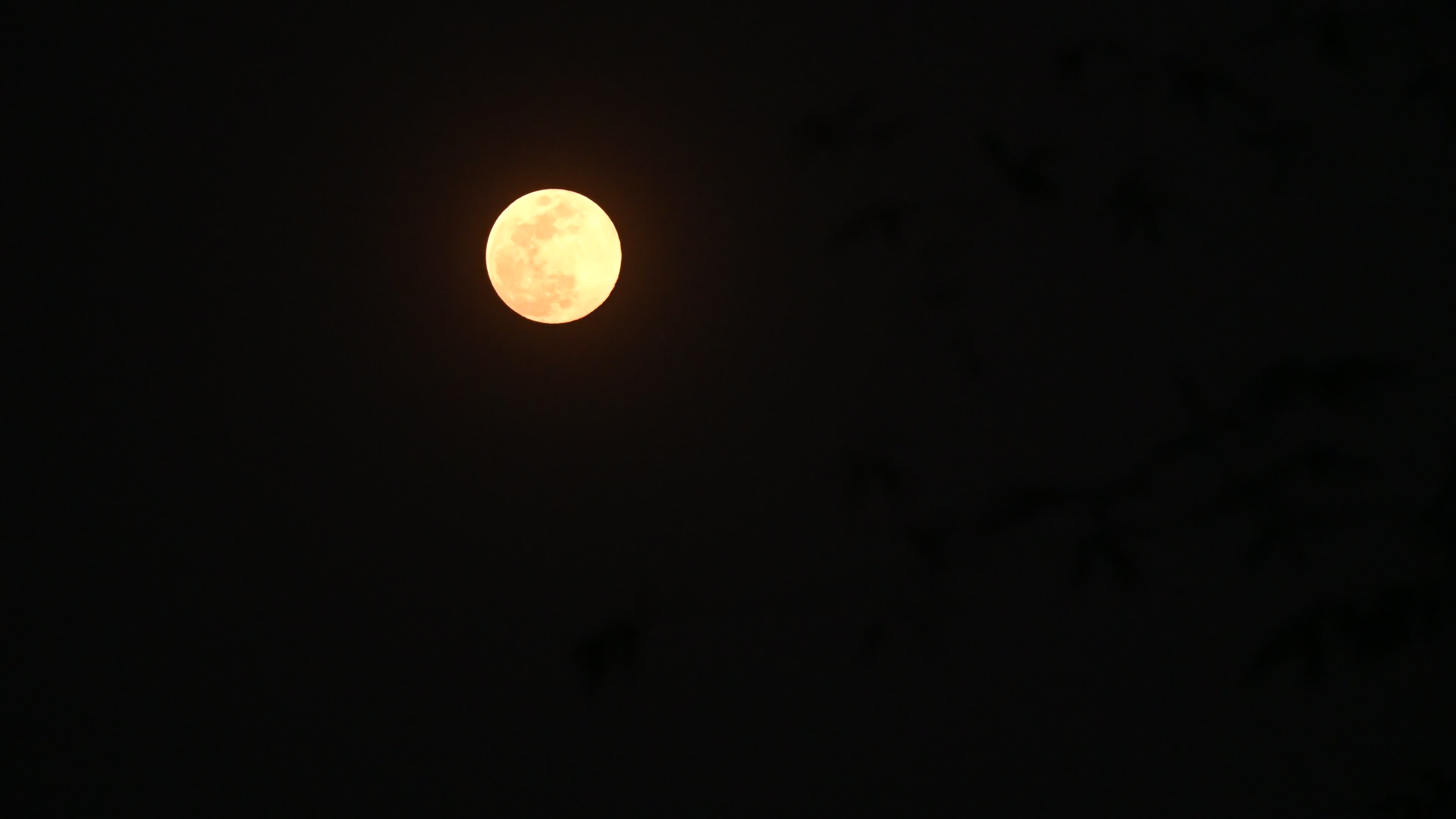 Wolf Moon - The First Full Moon Of 2025
