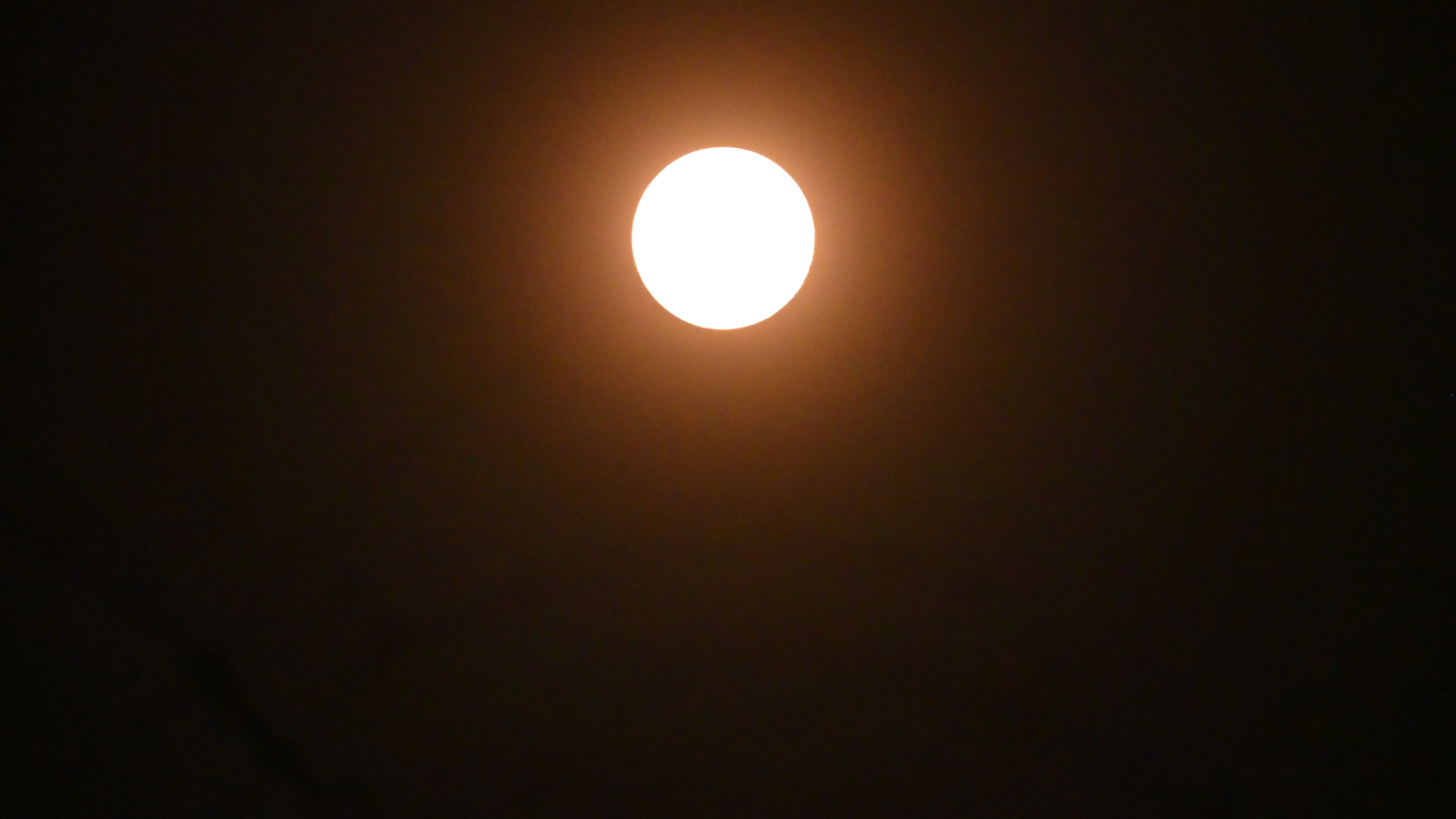 Wolf Moon - The First Full Moon Of 2025
