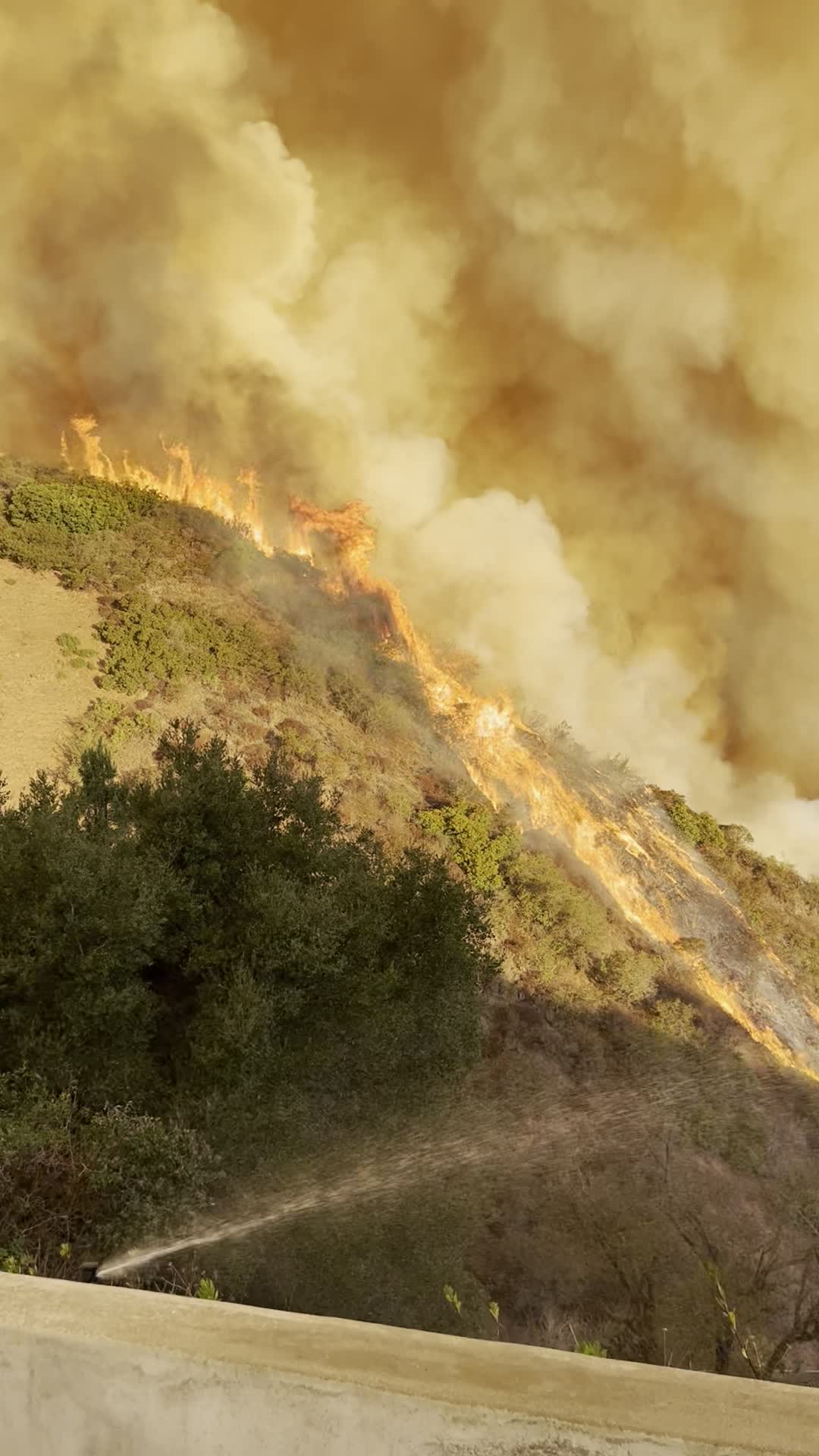 Powerful Winds Fuel Multiple Fires Across Los Angeles Area