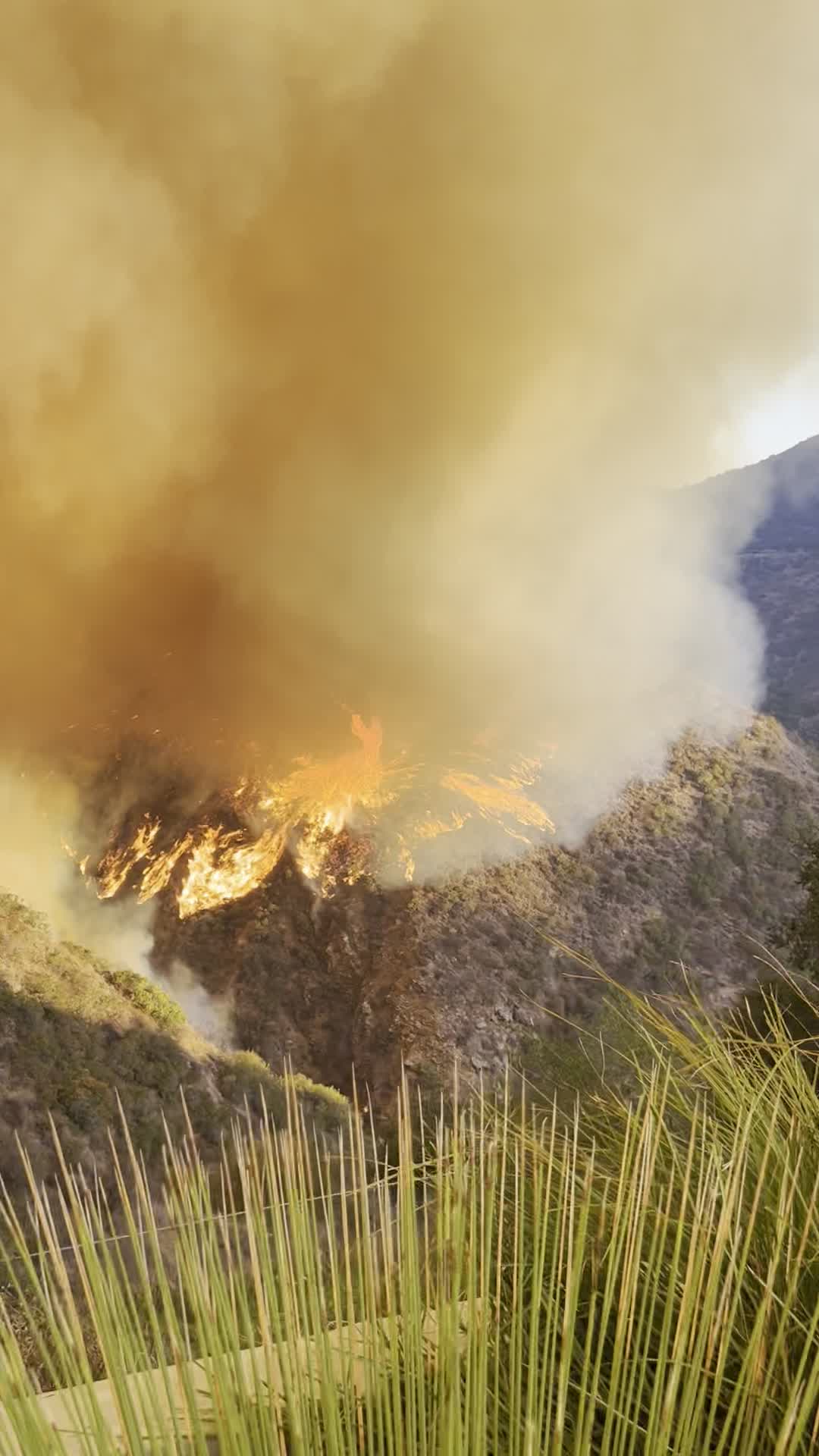 Powerful Winds Fuel Multiple Fires Across Los Angeles Area