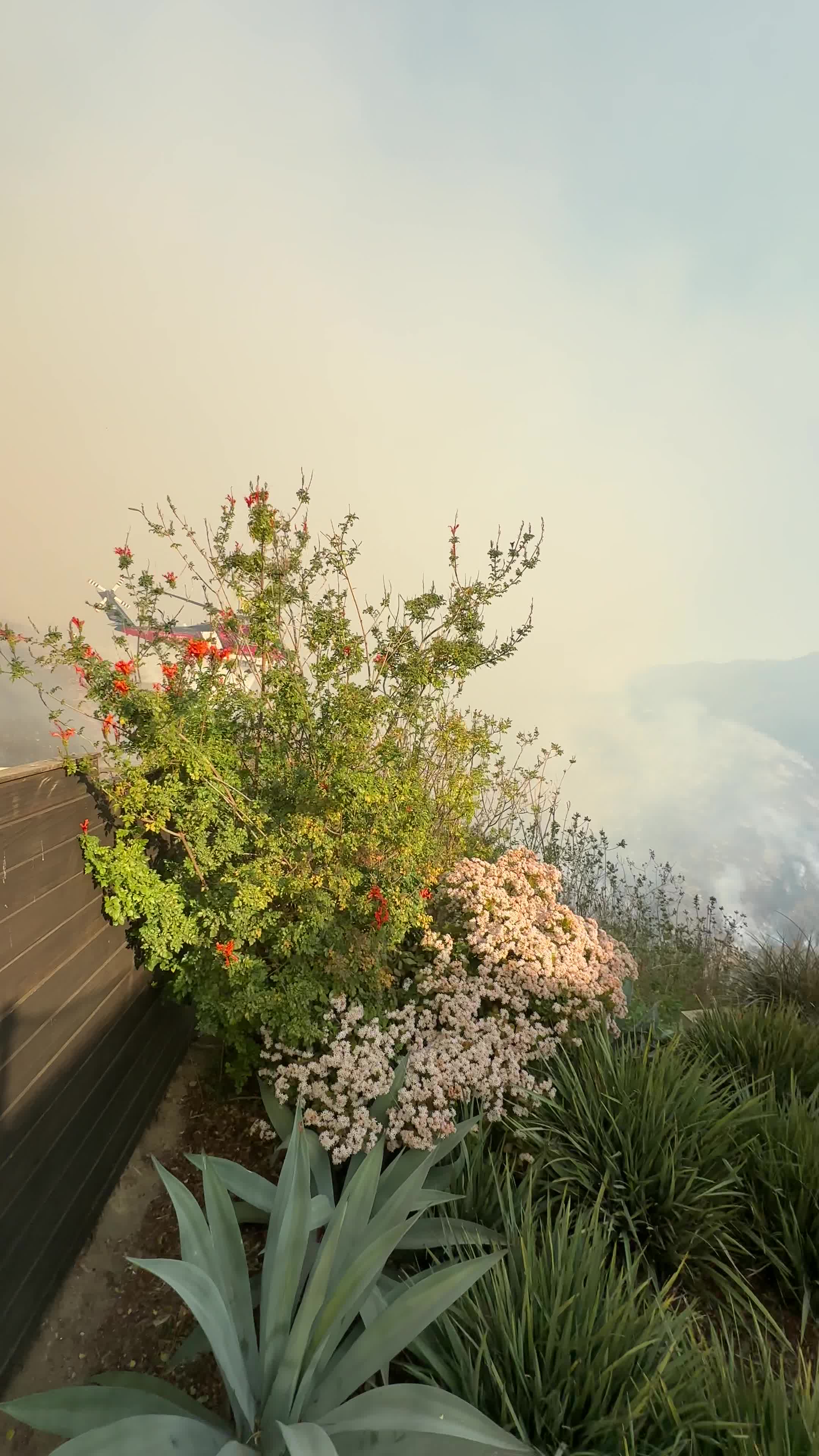 Powerful Winds Fuel Multiple Fires Across Los Angeles Area