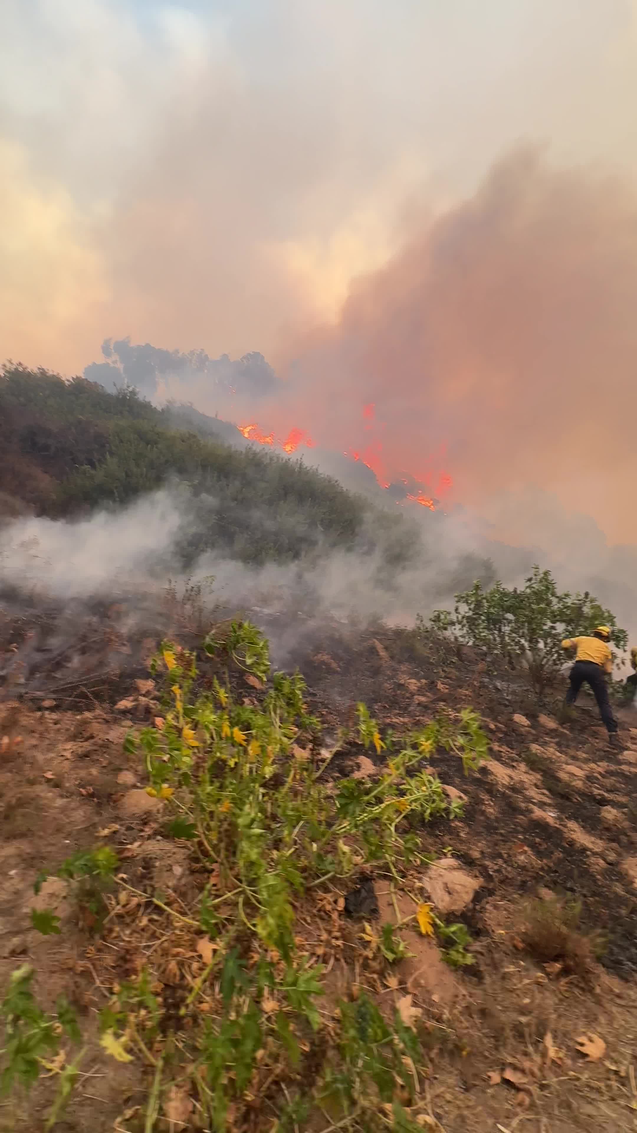 Powerful Winds Fuel Multiple Fires Across Los Angeles Area