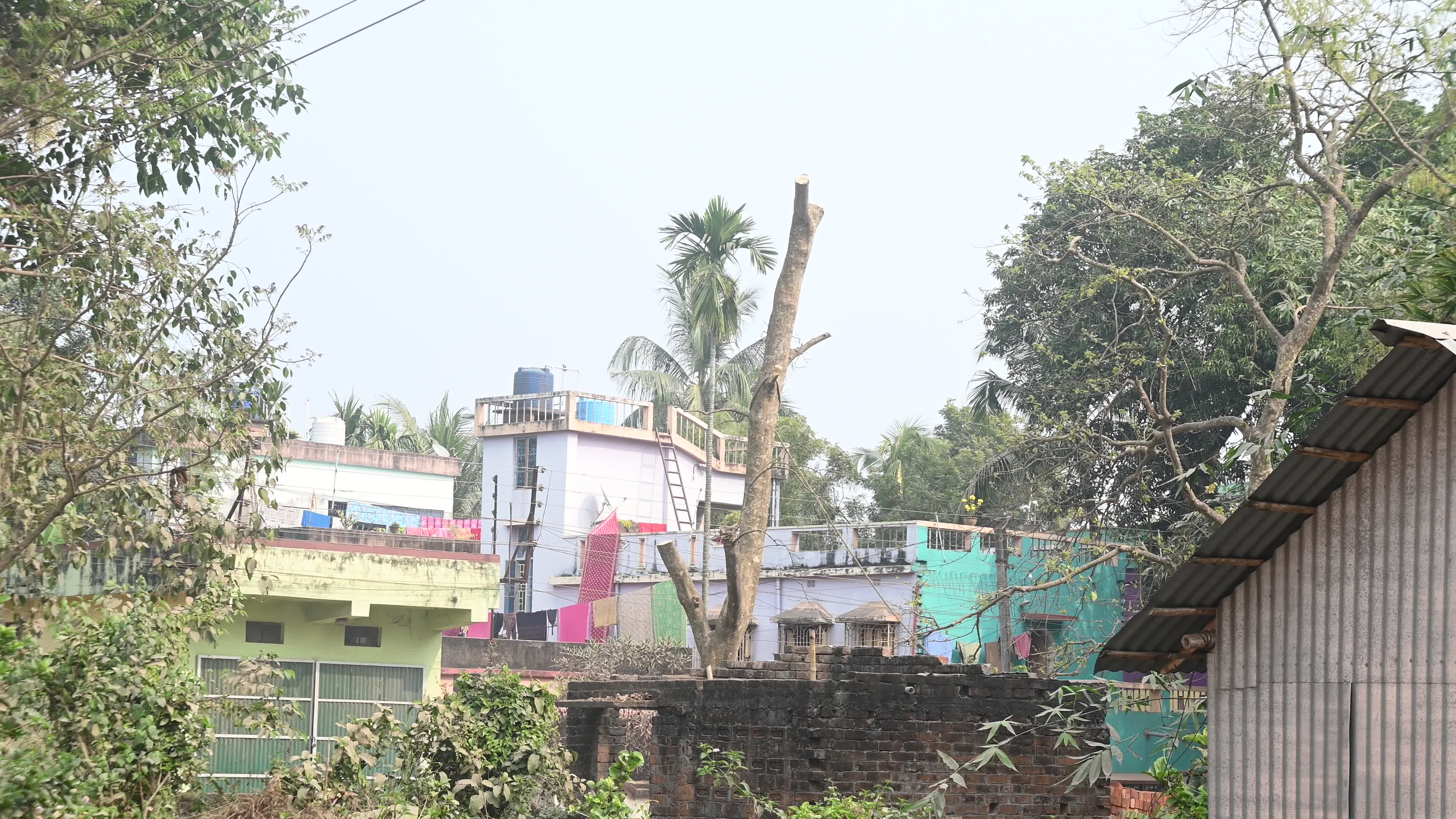 Urban Deforestation in India
