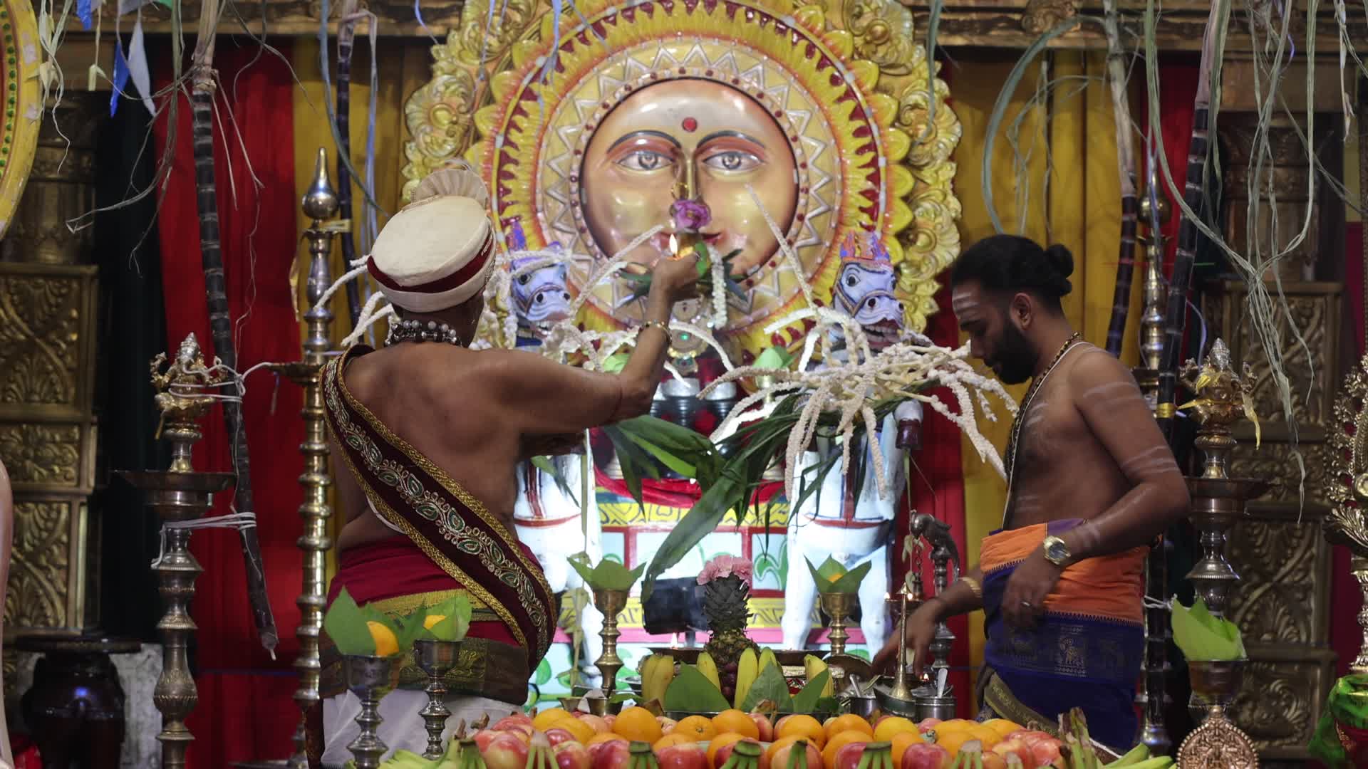 Tamil Hindus celebrate the Thai Pongal festival in Canada