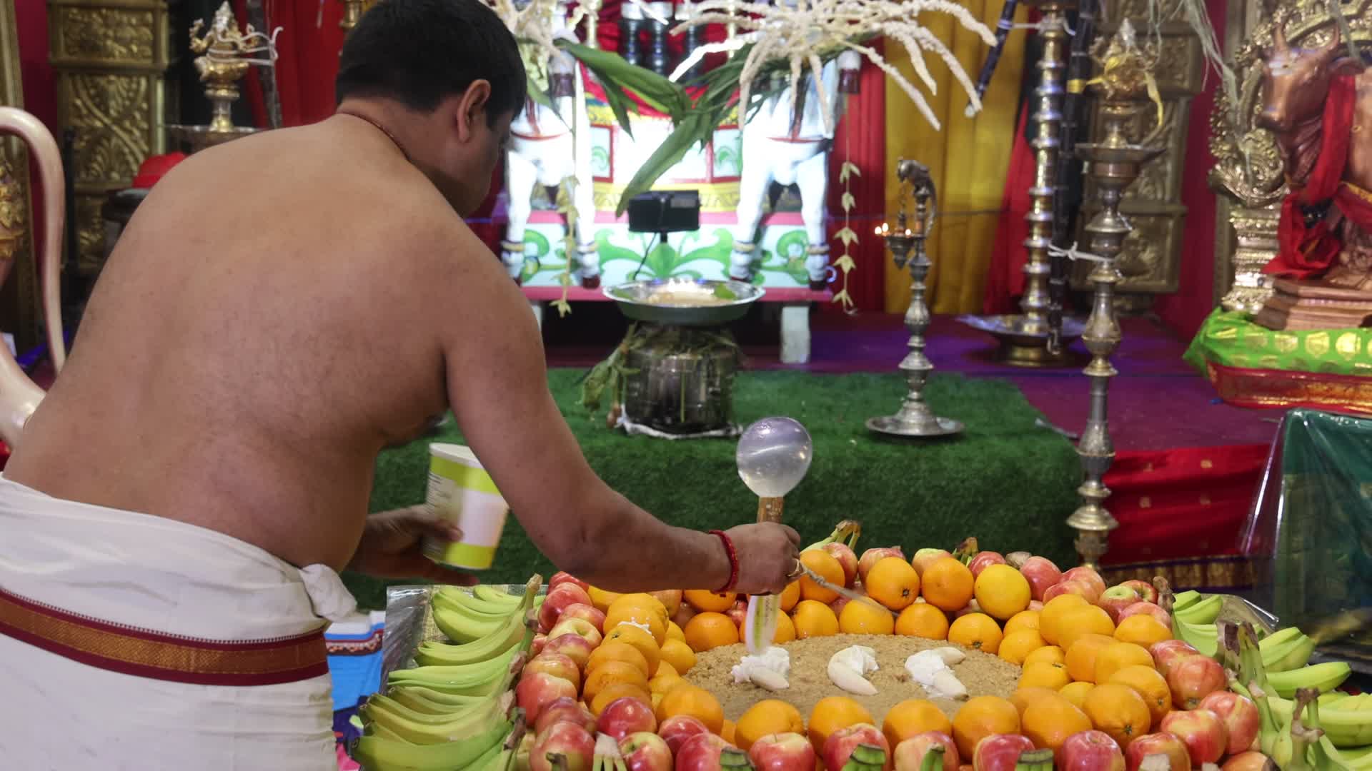 Tamil Hindus celebrate the Thai Pongal festival in Canada