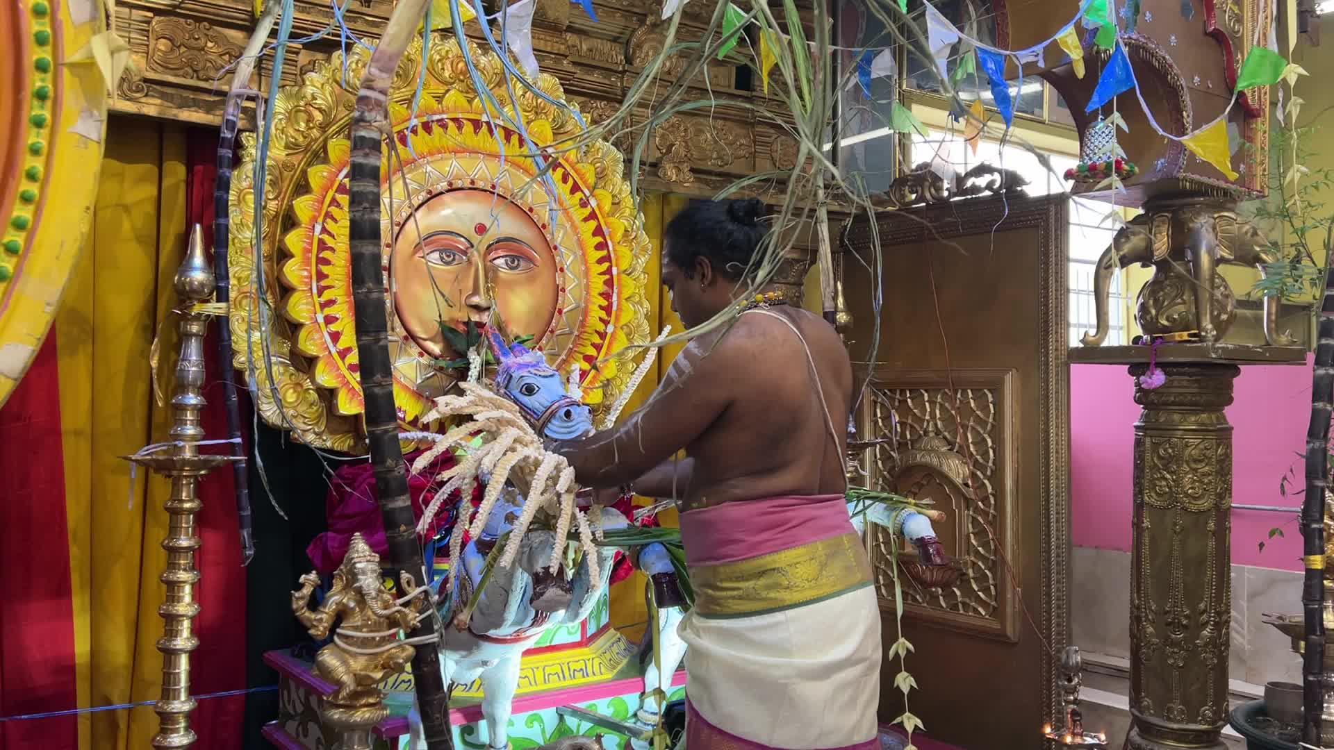 Tamil Hindus celebrate the Thai Pongal festival in Canada