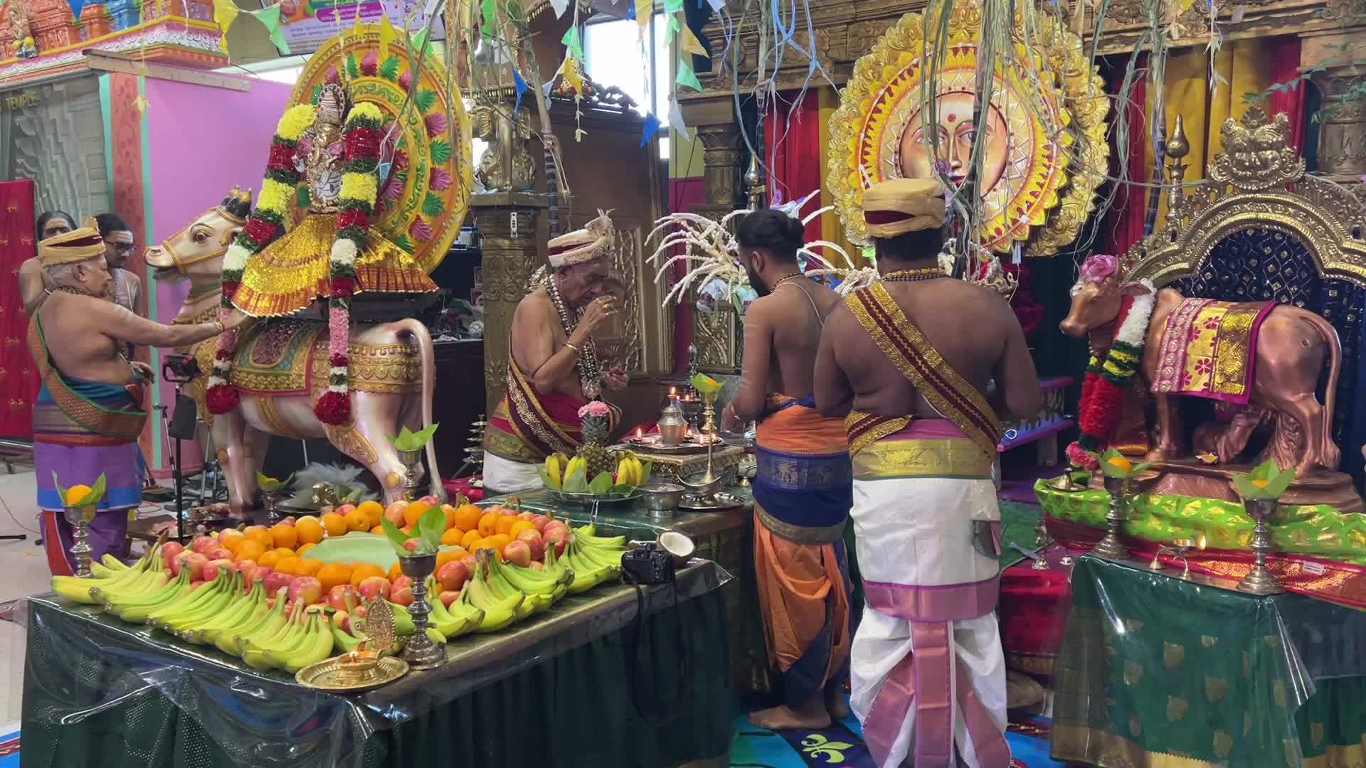 Tamil Hindus celebrate the Thai Pongal festival in Canada