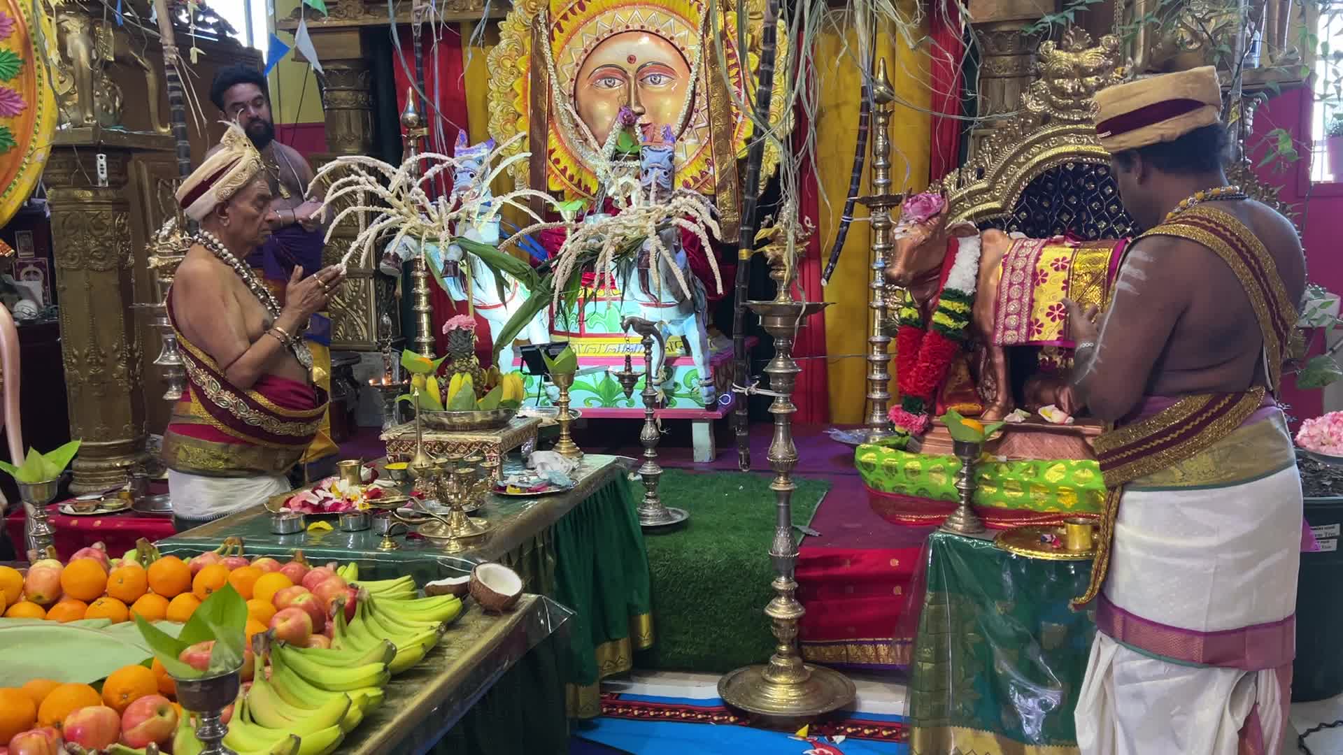 Tamil Hindus celebrate the Thai Pongal festival in Canada