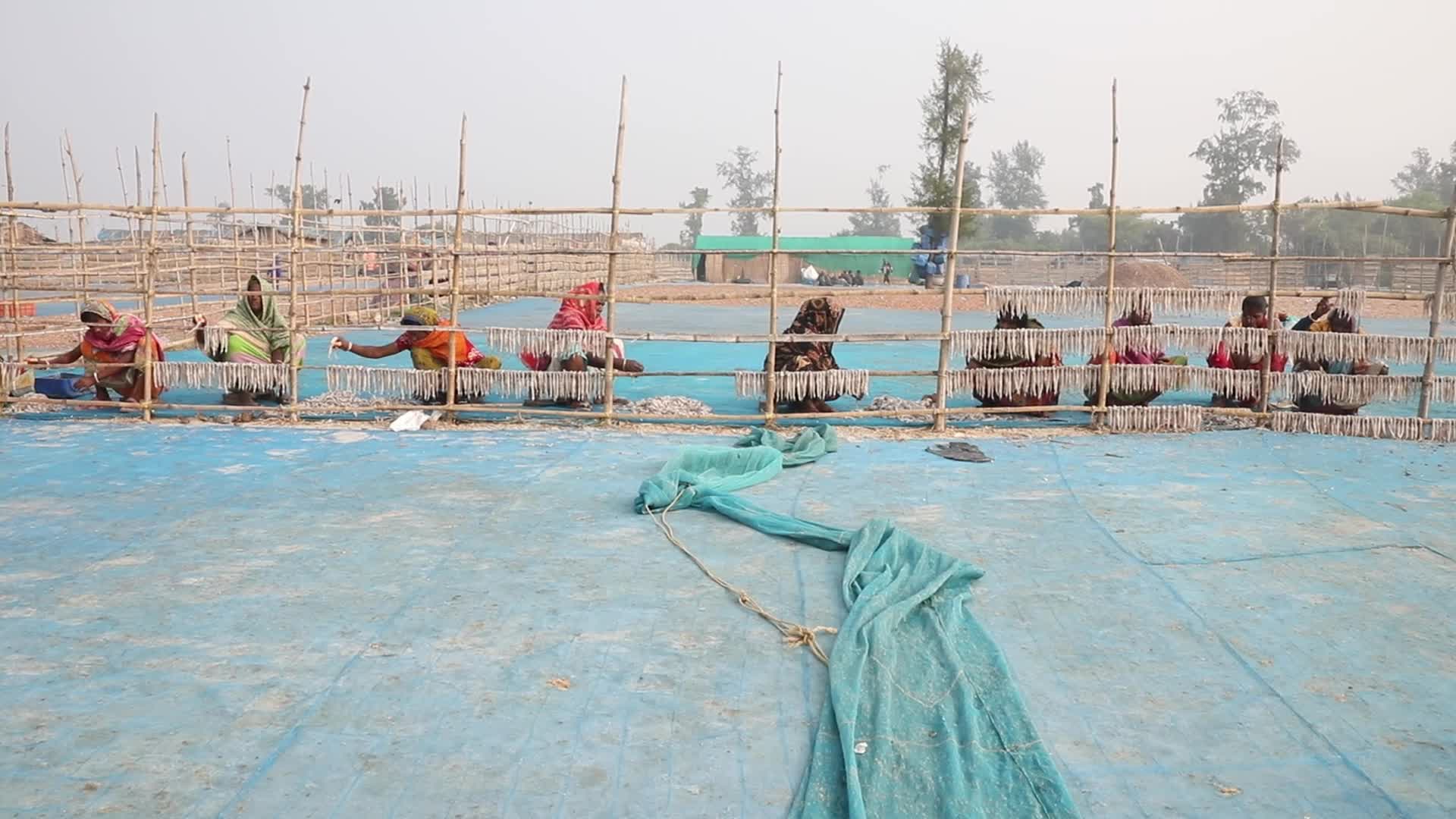 Dry Fish Workshop At Sagar Island