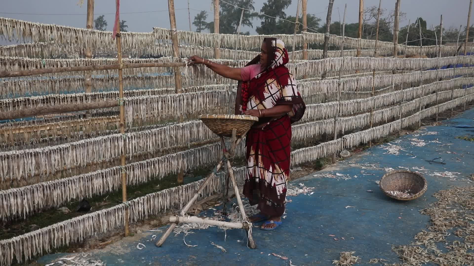 Dry Fish Workshop At Sagar Island