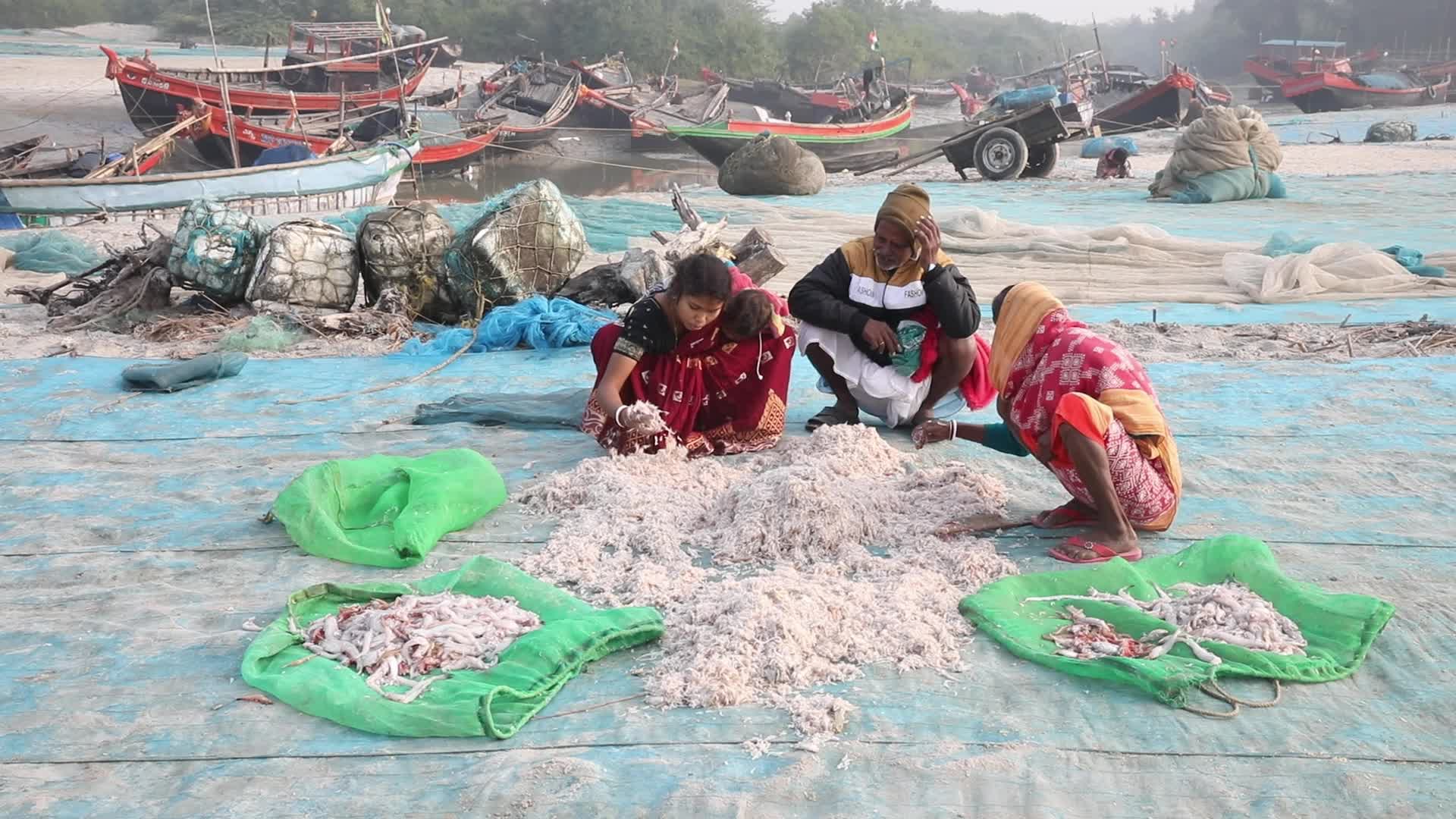 Dry Fish Workshop At Sagar Island