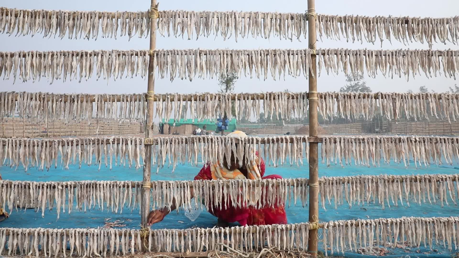 Dry Fish Workshop At Sagar Island