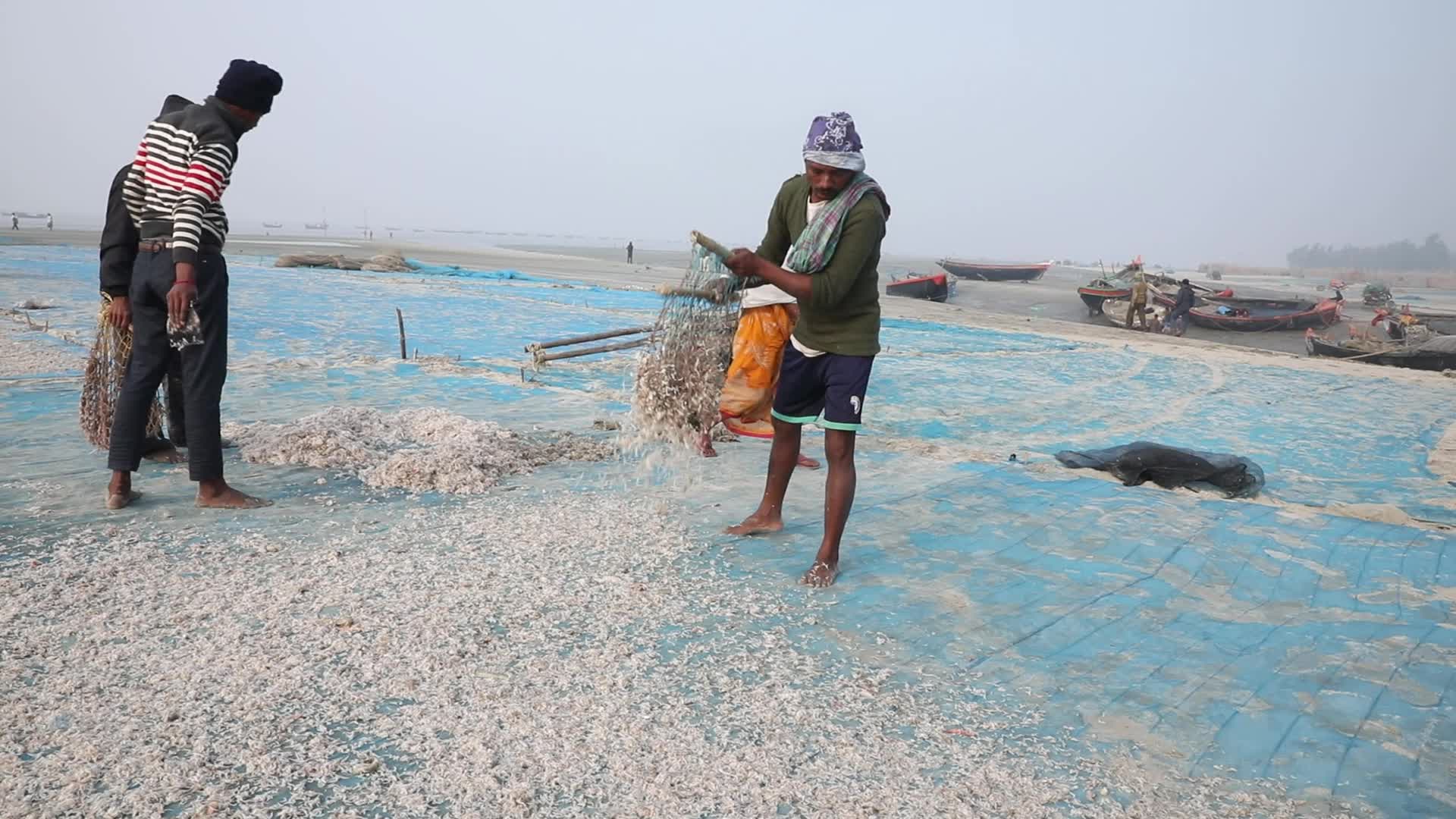 Dry Fish Workshop At Sagar Island