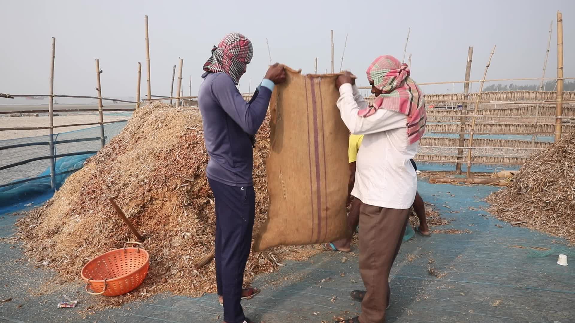 Dry Fish Workshop At Sagar Island