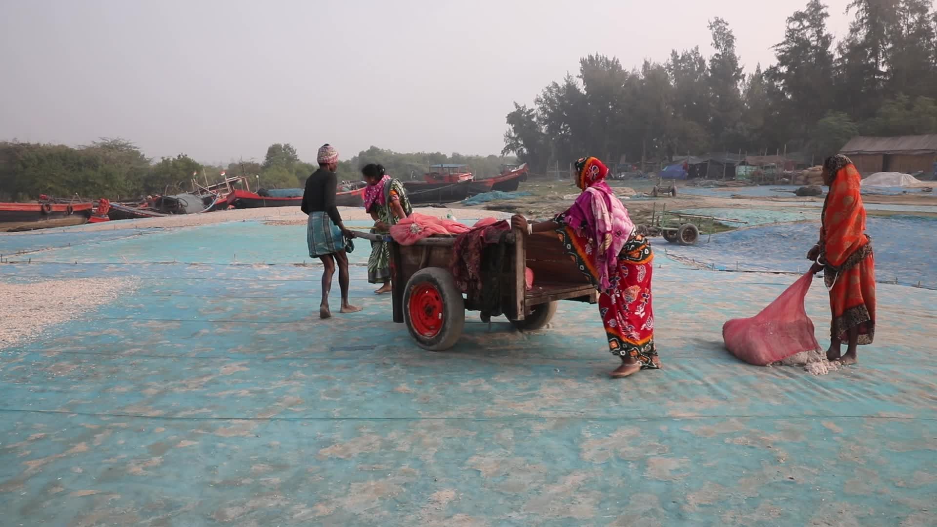 Dry Fish Workshop At Sagar Island