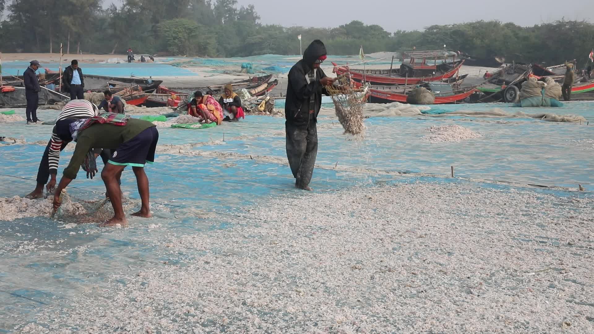 Dry Fish Workshop At Sagar Island