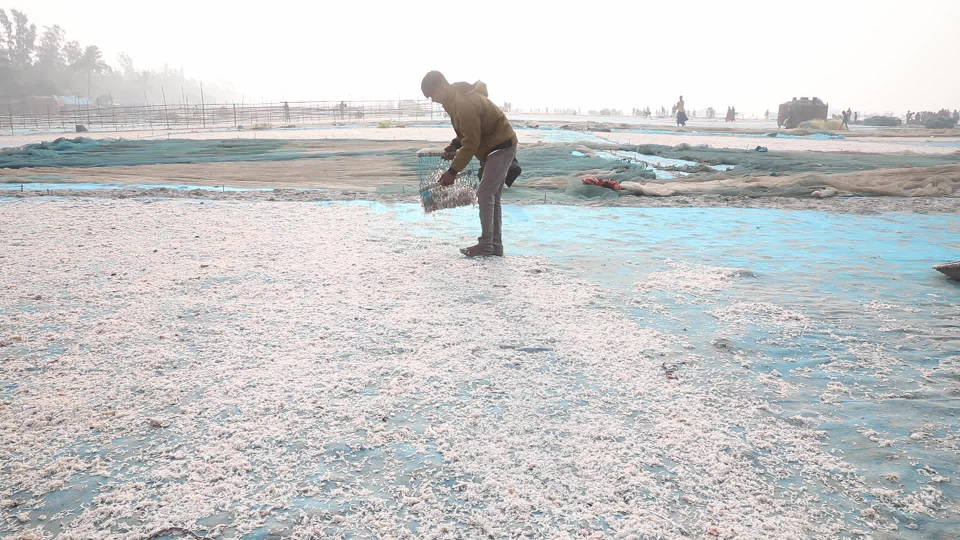 Dry Fish Workshop At Sagar Island