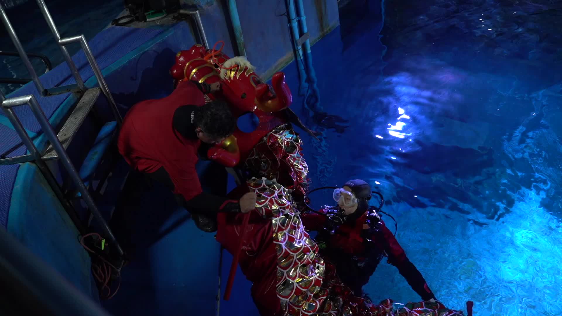 Underwater Dragon Dance Performance to Celebrate The Lunar New Year.