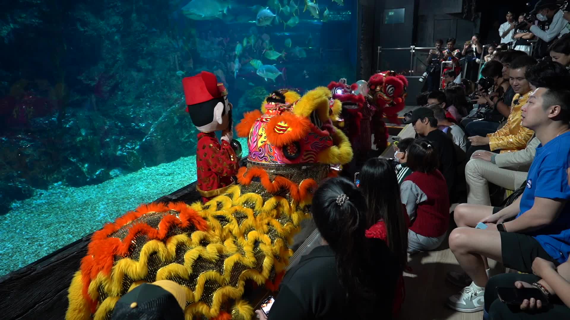Underwater Dragon Dance Performance to Celebrate The Lunar New Year.