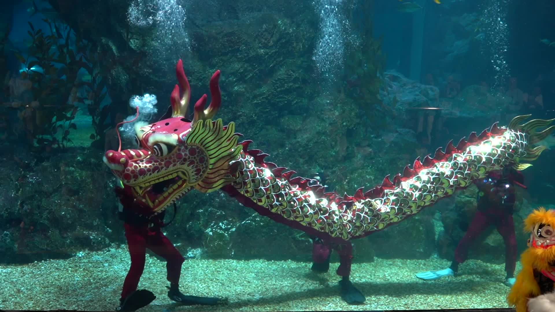 Underwater Dragon Dance Performance to Celebrate The Lunar New Year.