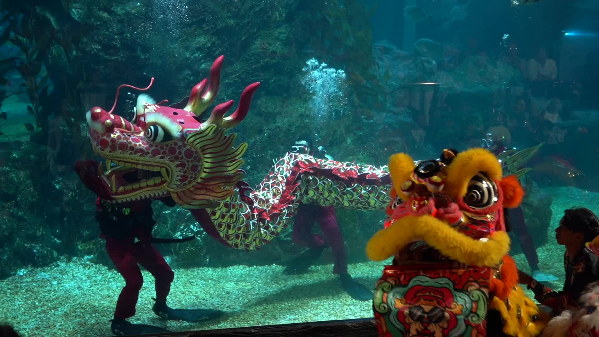 Underwater Dragon Dance Performance to Celebrate The Lunar New Year.