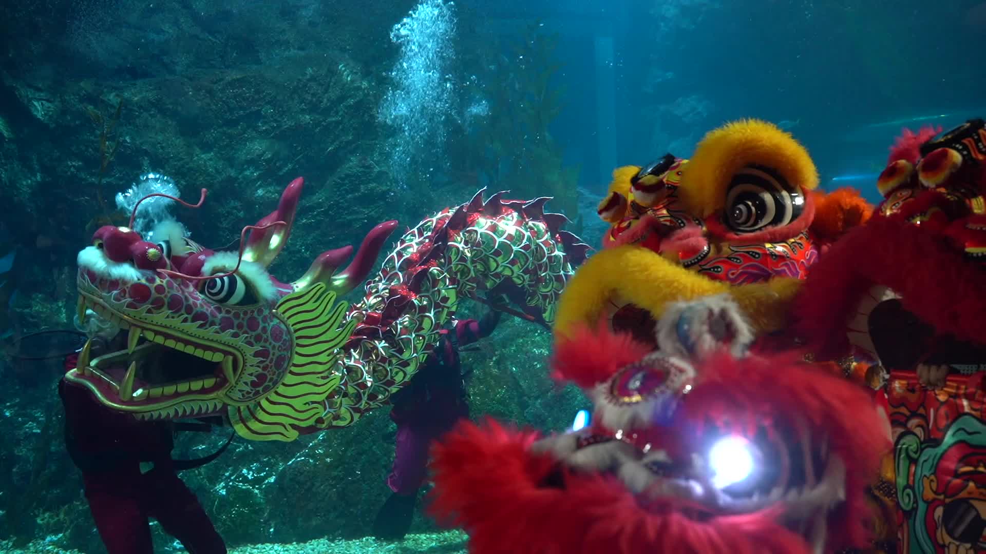 Underwater Dragon Dance Performance to Celebrate The Lunar New Year.