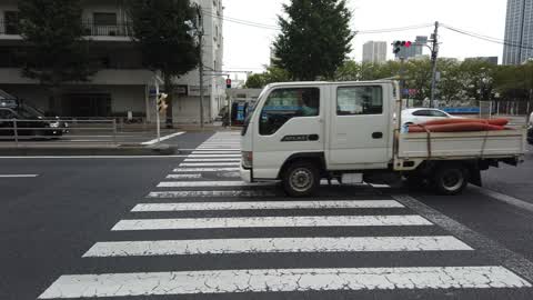 Tokyo crosswalk