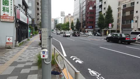 Tokyo crosswalk