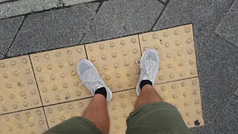 Tokyo crosswalk