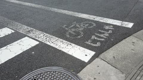 Tokyo crosswalk