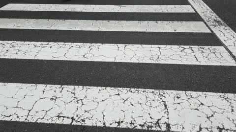 Tokyo crosswalk