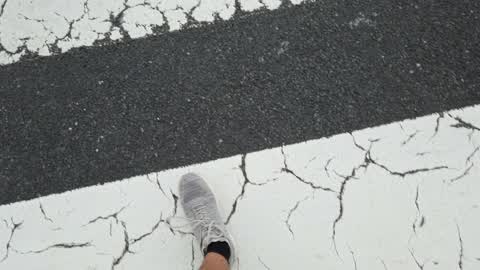 Tokyo crosswalk