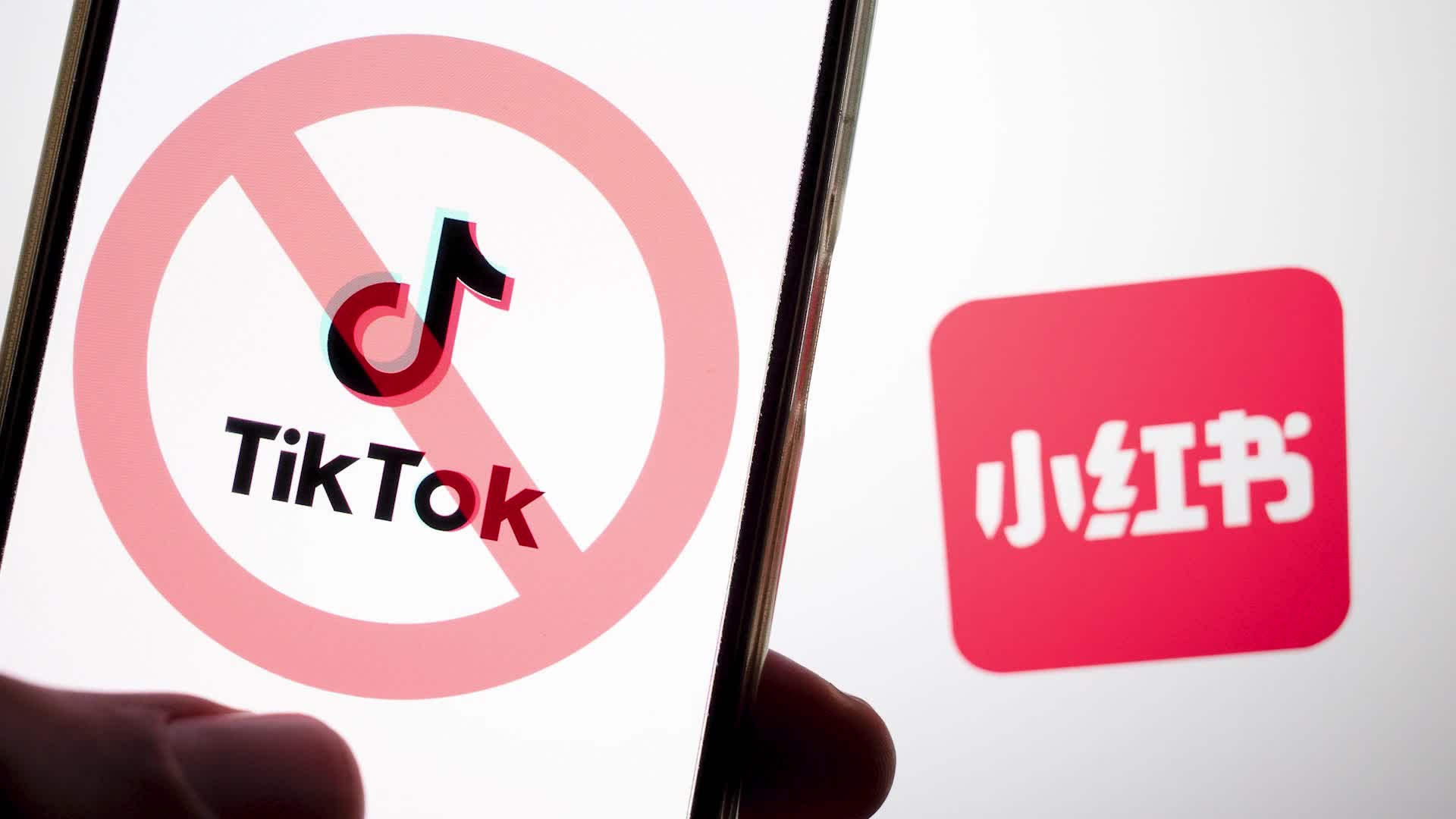 TikTok - Xiaohongshu
