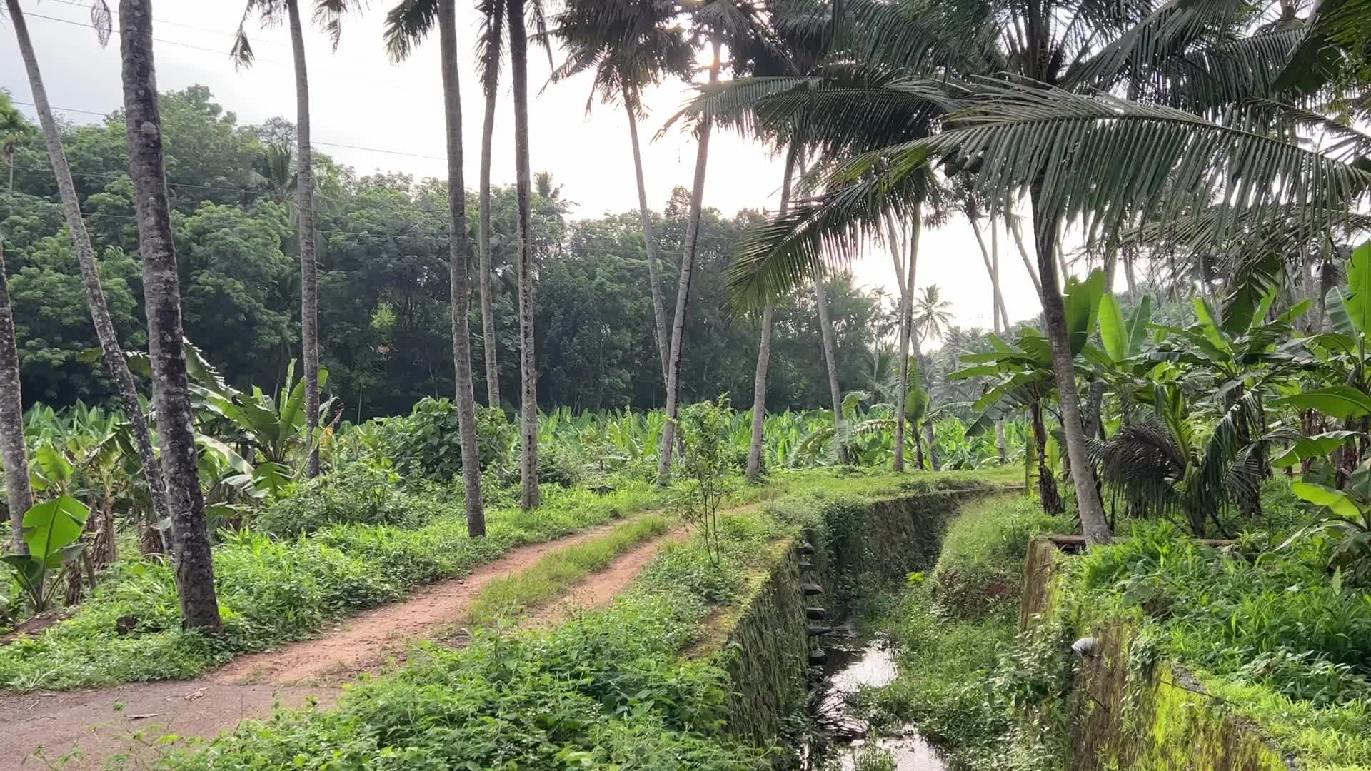 Daily life in Ooruttambalam