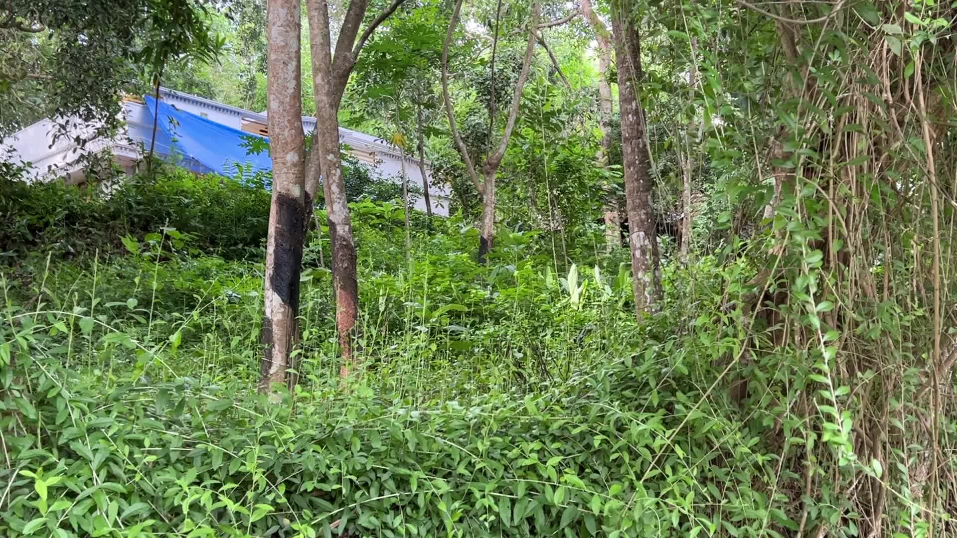 Daily life in Ooruttambalam