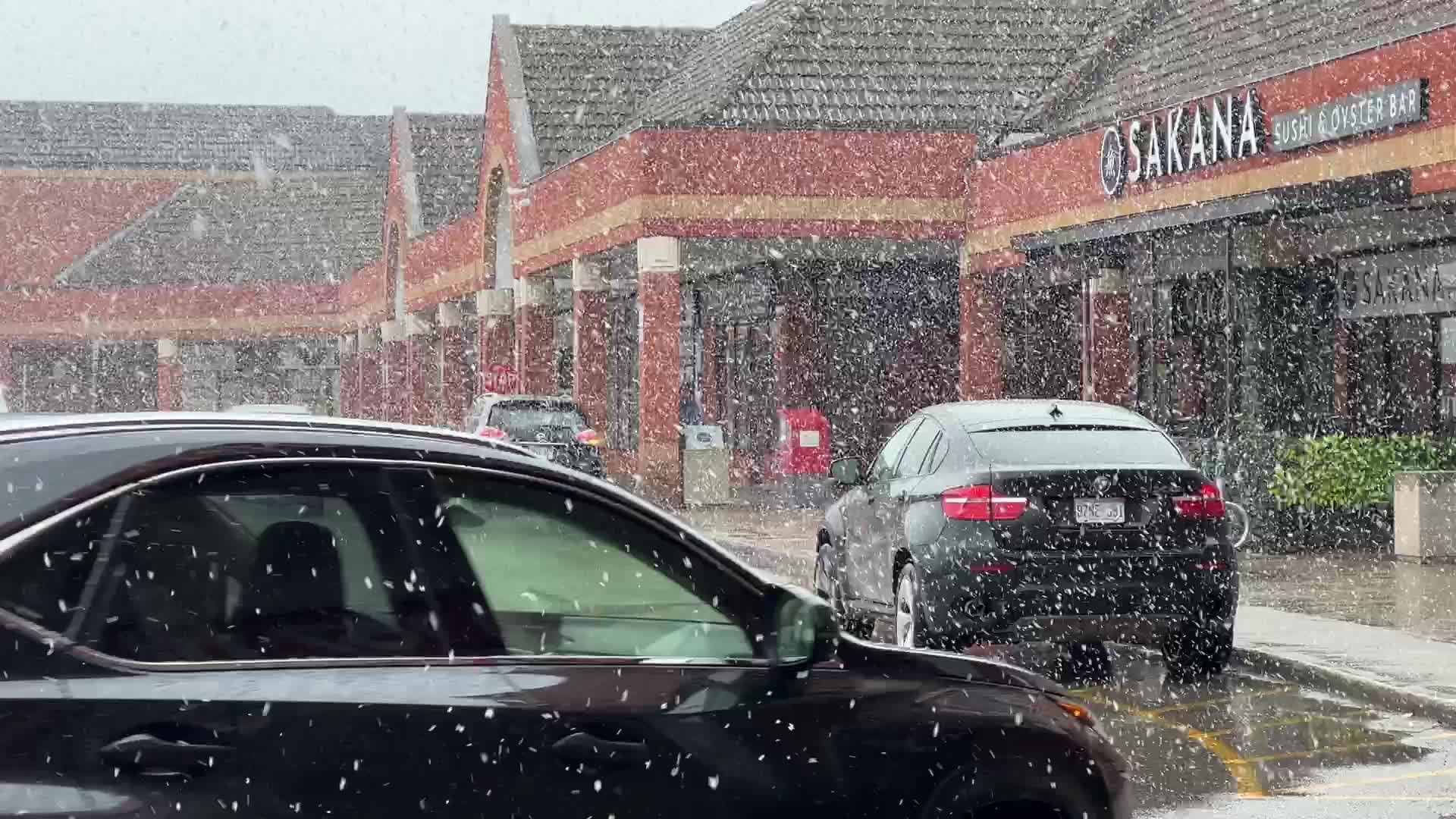 Heavy wet snow falling in Toronto, Canada