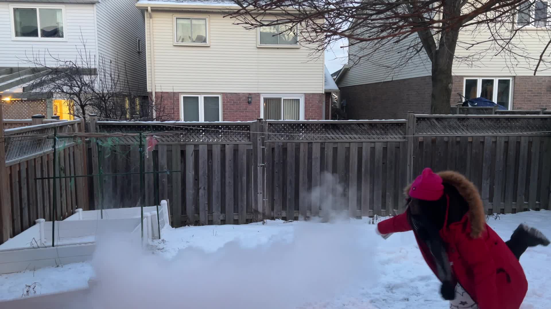 Polar vortex brings arctic air and freezing temperatures to Toronto, Canada