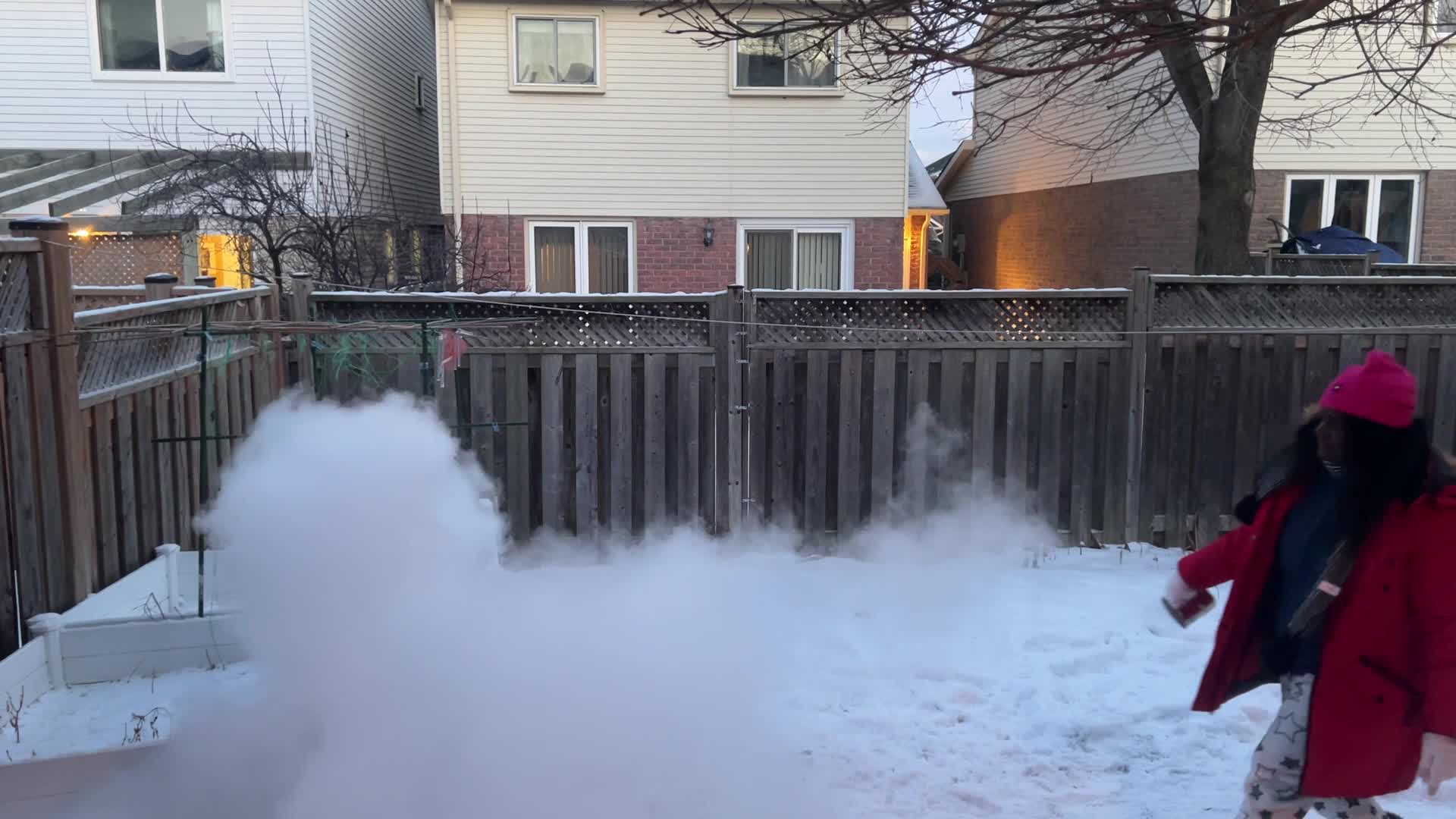 Polar vortex brings arctic air and freezing temperatures to Toronto, Canada