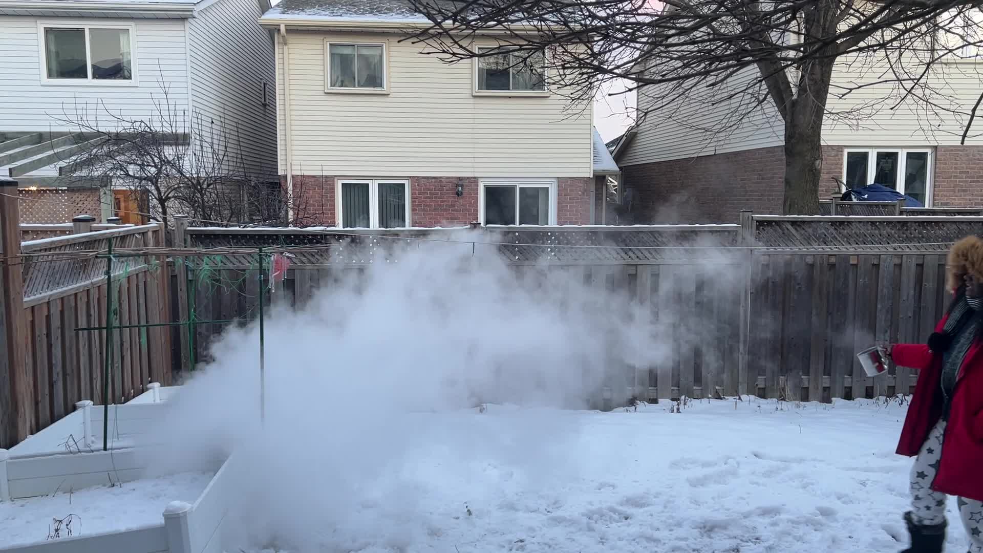 Polar vortex brings arctic air and freezing temperatures to Toronto, Canada