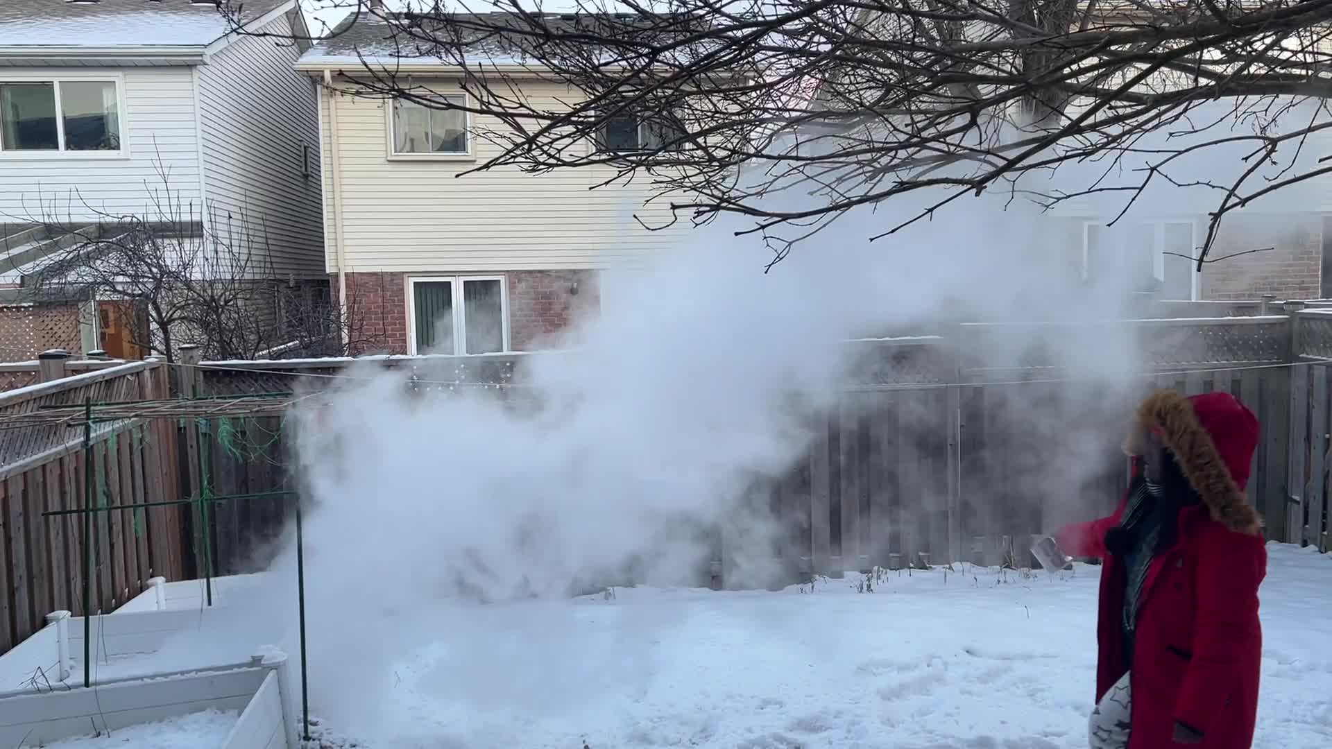 Polar vortex brings arctic air and freezing temperatures to Toronto, Canada